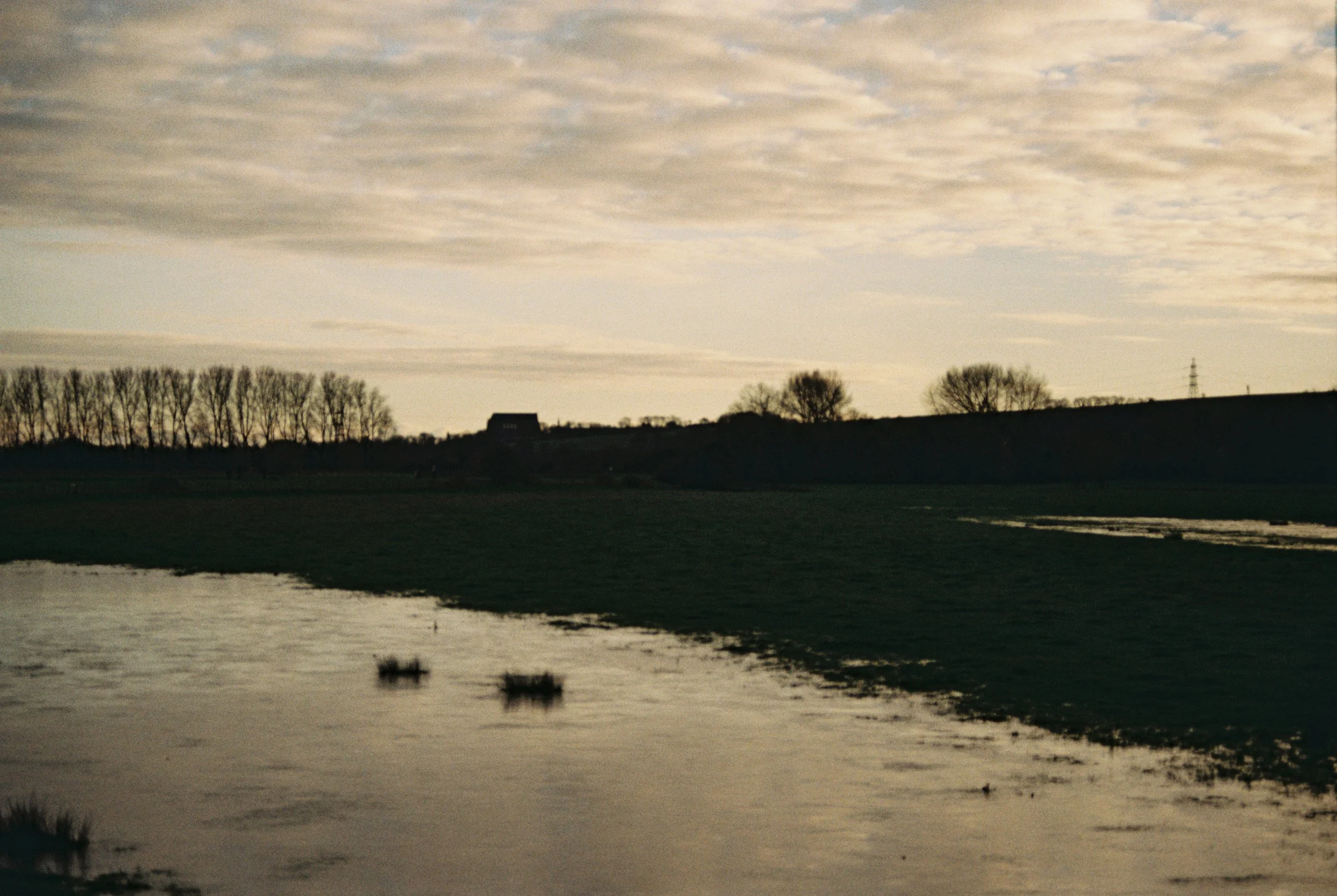 Upper Beeding, West Sussex - 12.Jan.2025
