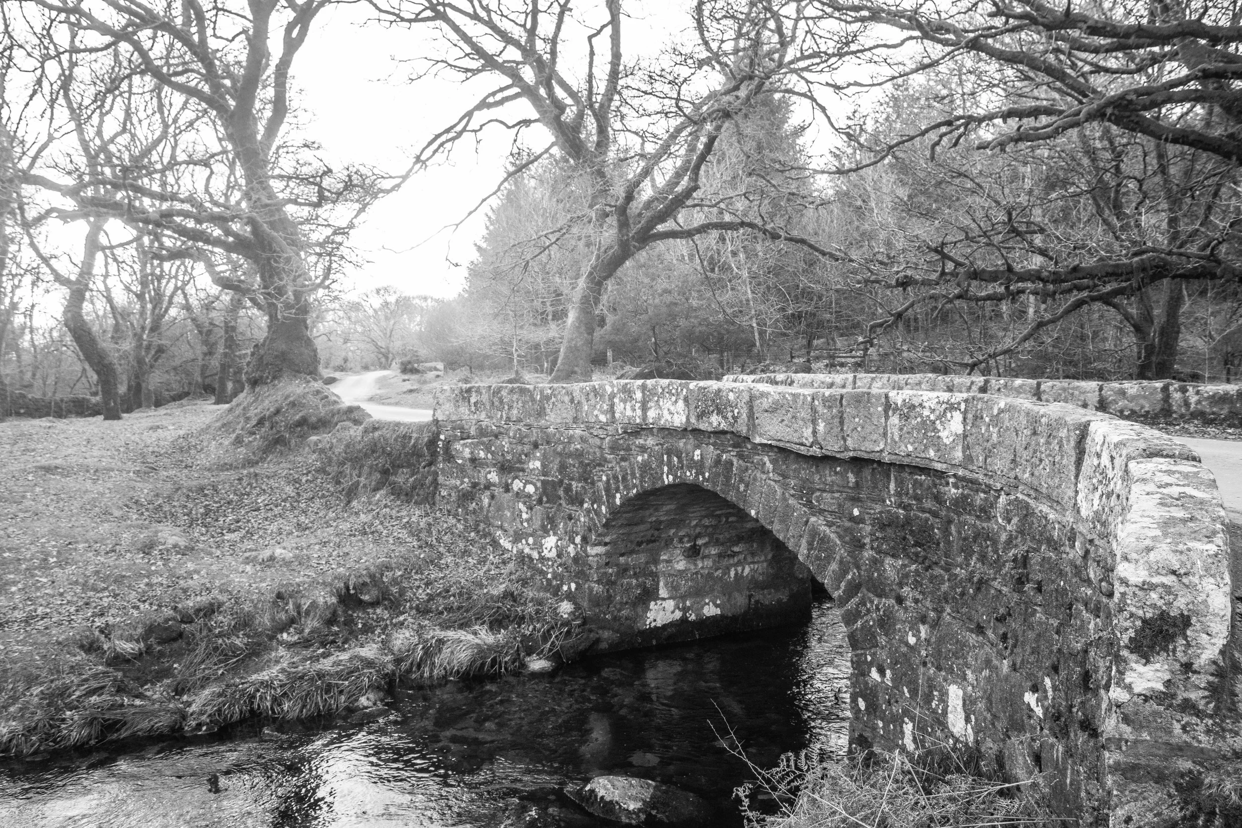 Norsworthy Bridge, Dartmoor - 18.Jan.2024