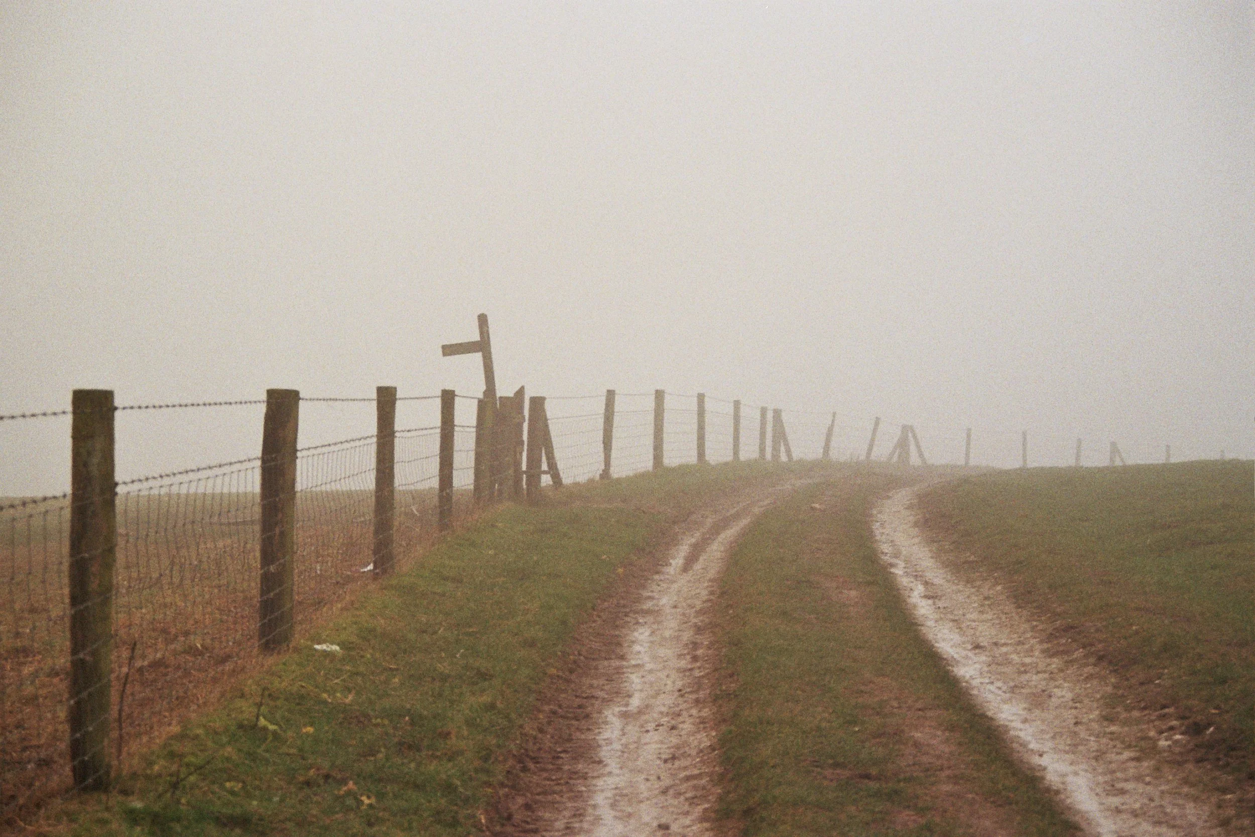 Devil's Dyke, Sussex - 3.Feb.2025