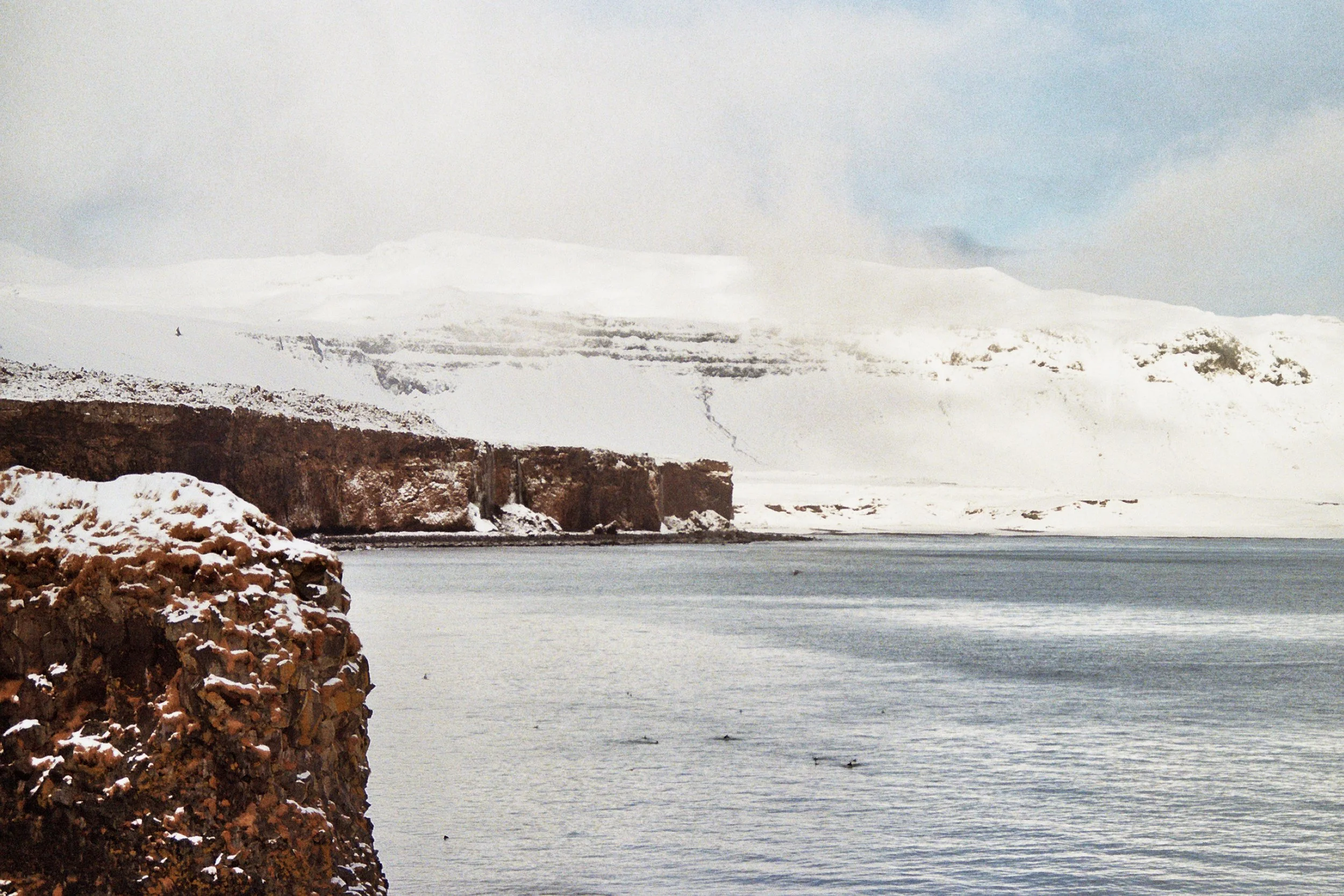 Arnarstapi, Snæfellsbær - 26.Feb.2025