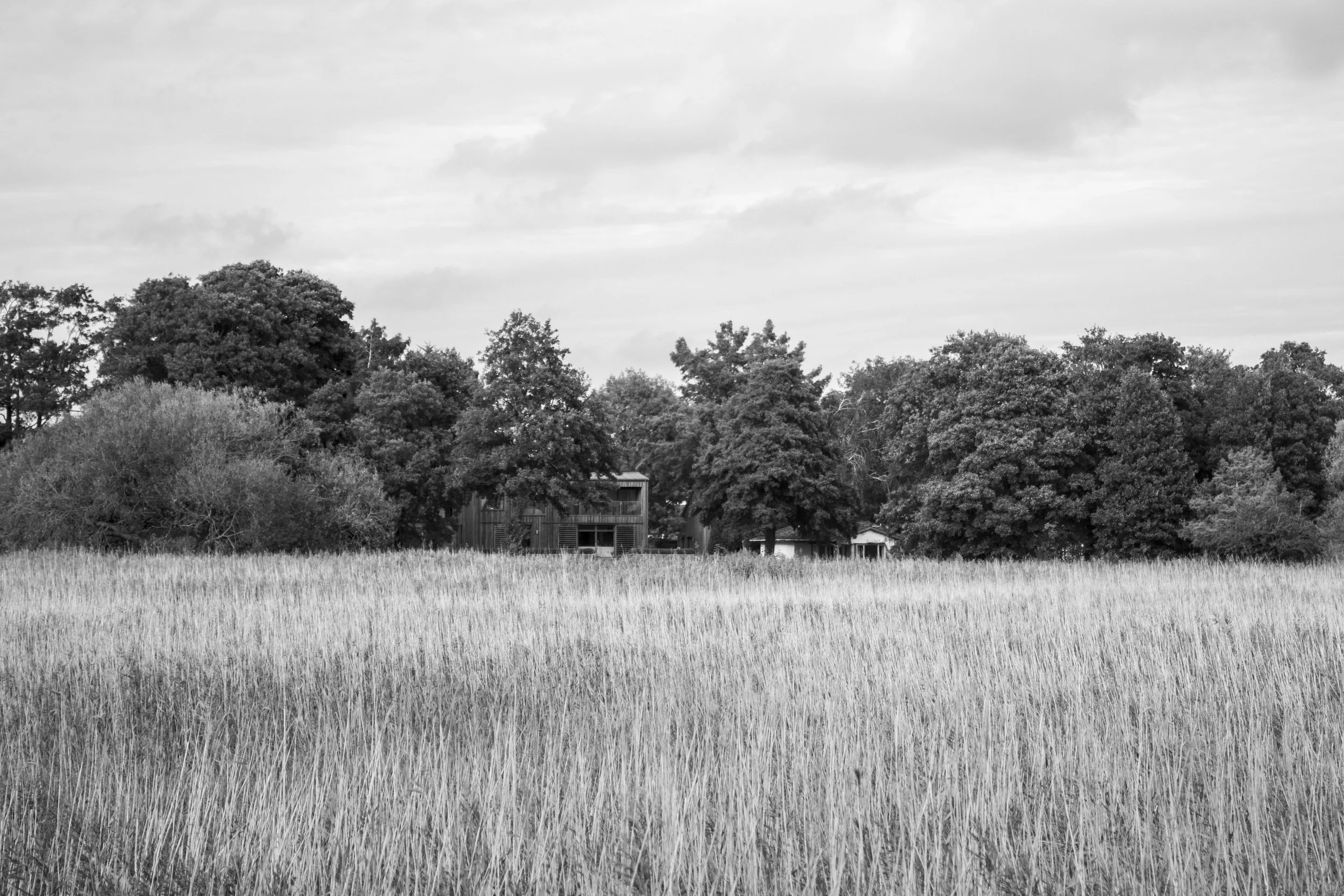 Bosham, West Sussex (1.Oct.2025)_13.jpg