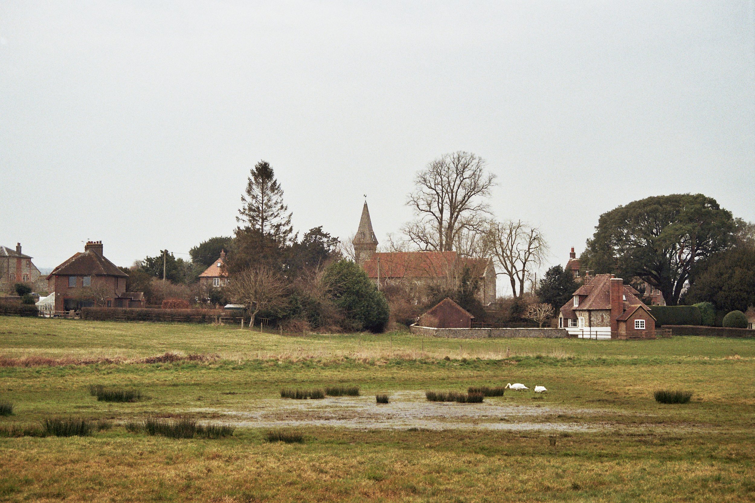 South Stoke, West Sussex - 10.Mar.2025