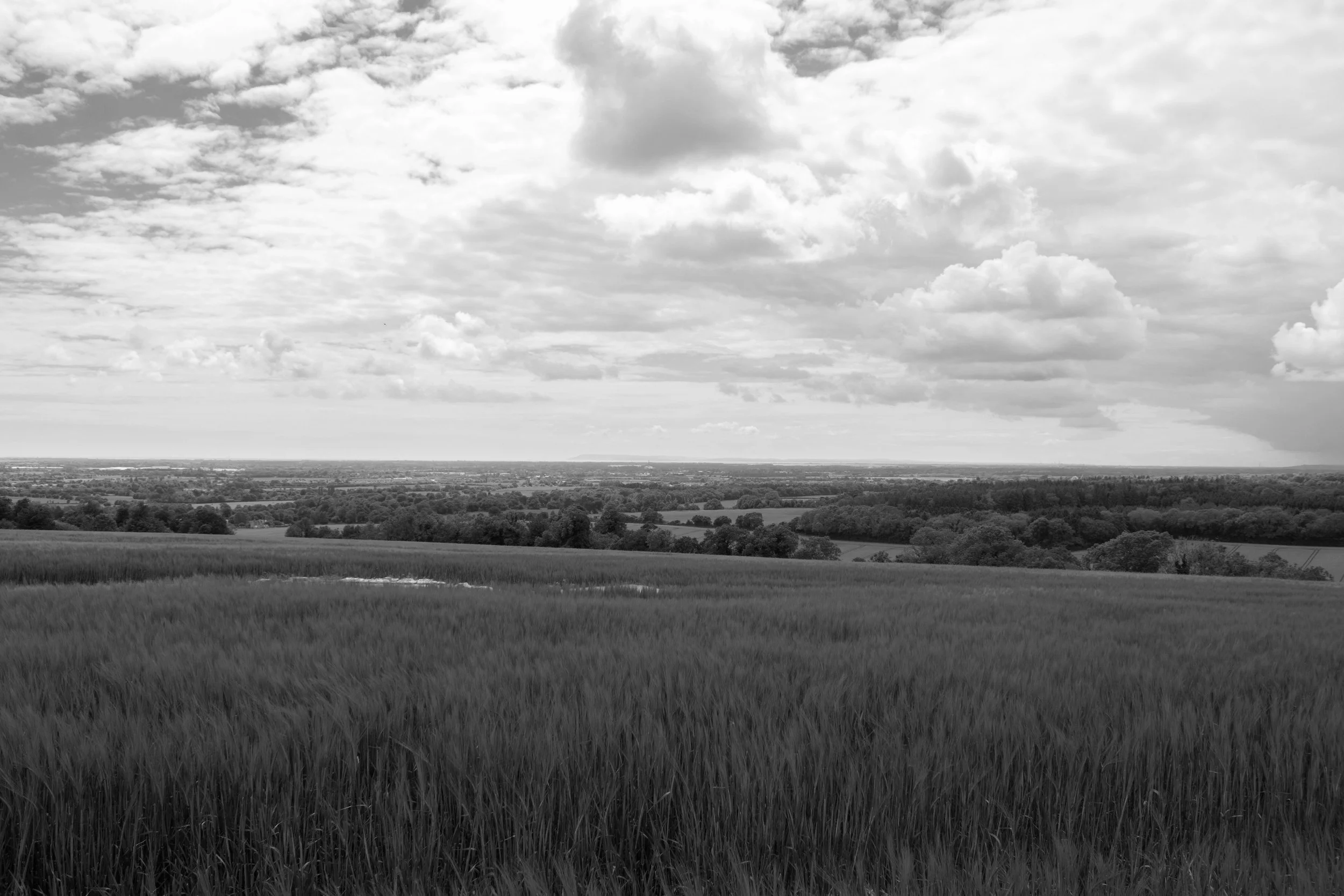 Halnaker, West Sussex - 20.Jun.2019