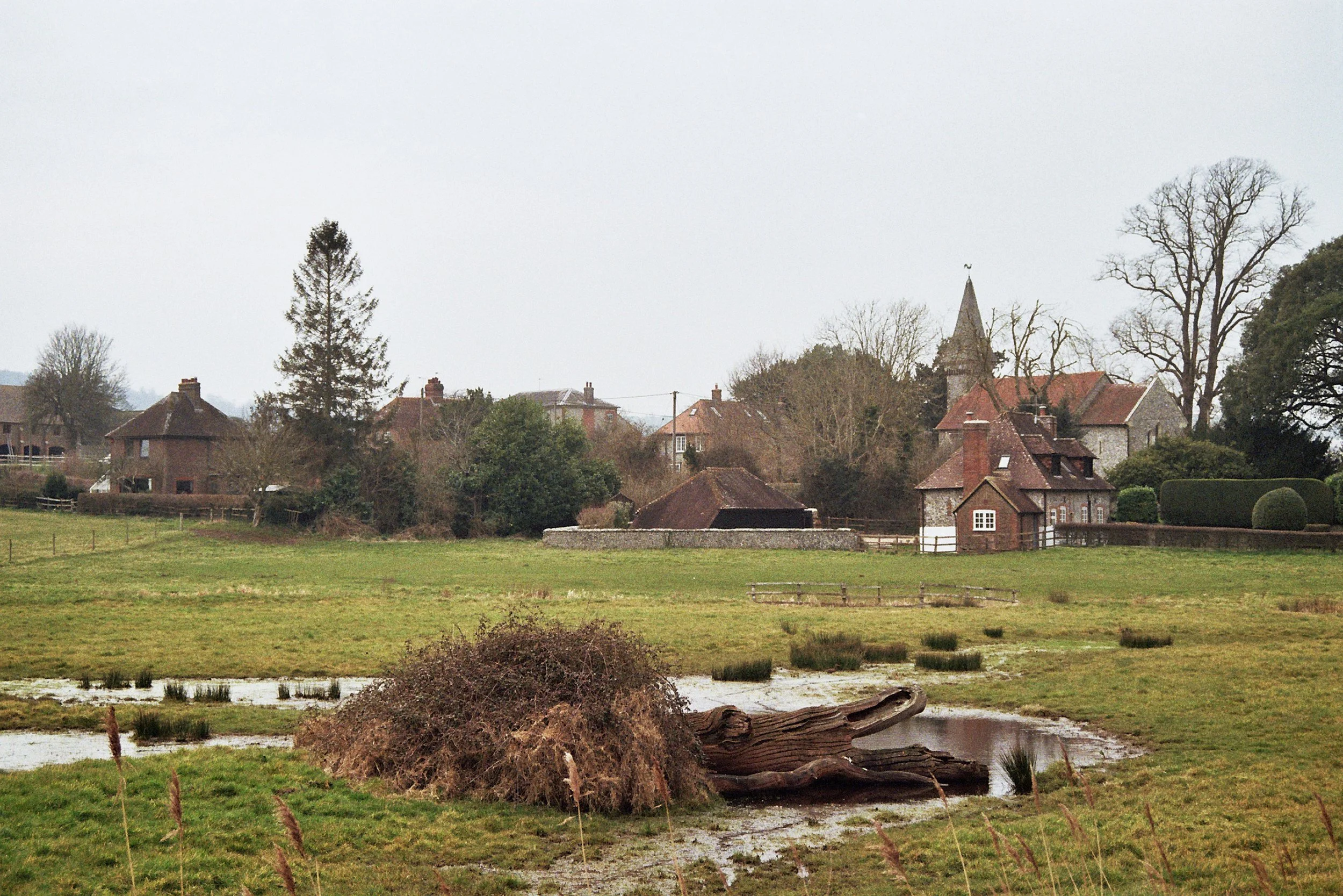 South Stoke, West Sussex - 10.Mar.2025
