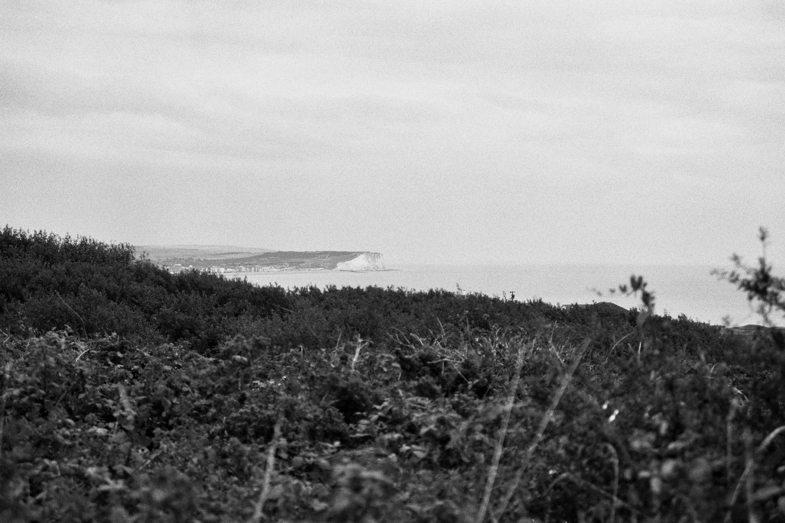 Peacehaven, East Sussex - 27.Jul.2025