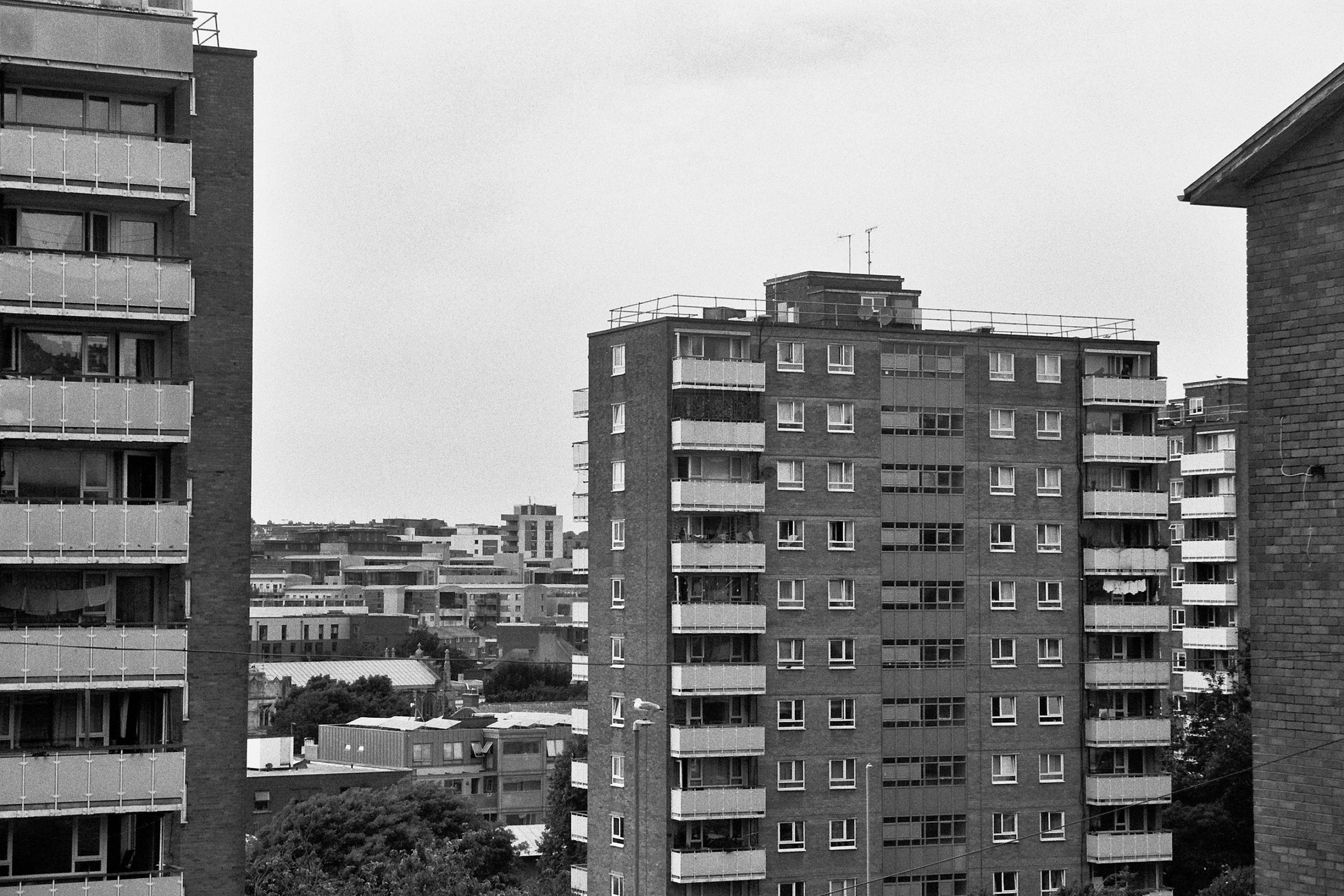 Brighton, East Sussex - 16.Jul.2025