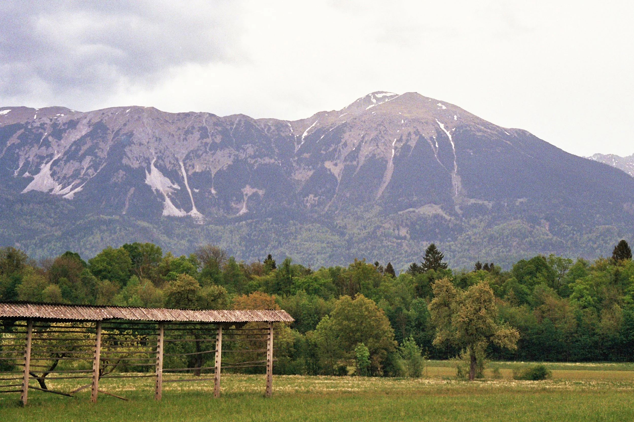 Lake Bohinj - Vintgar Gorge, Slovenia (28.Apr.2026)_19.jpg