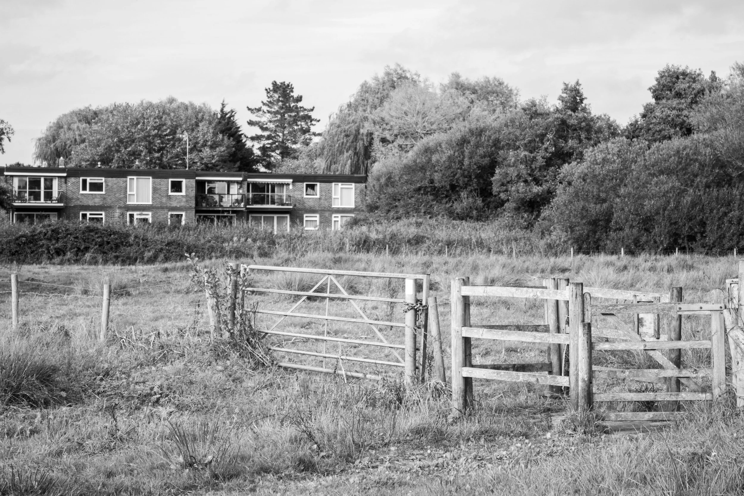 Bosham, West Sussex (1.Oct.2025)_10.jpg