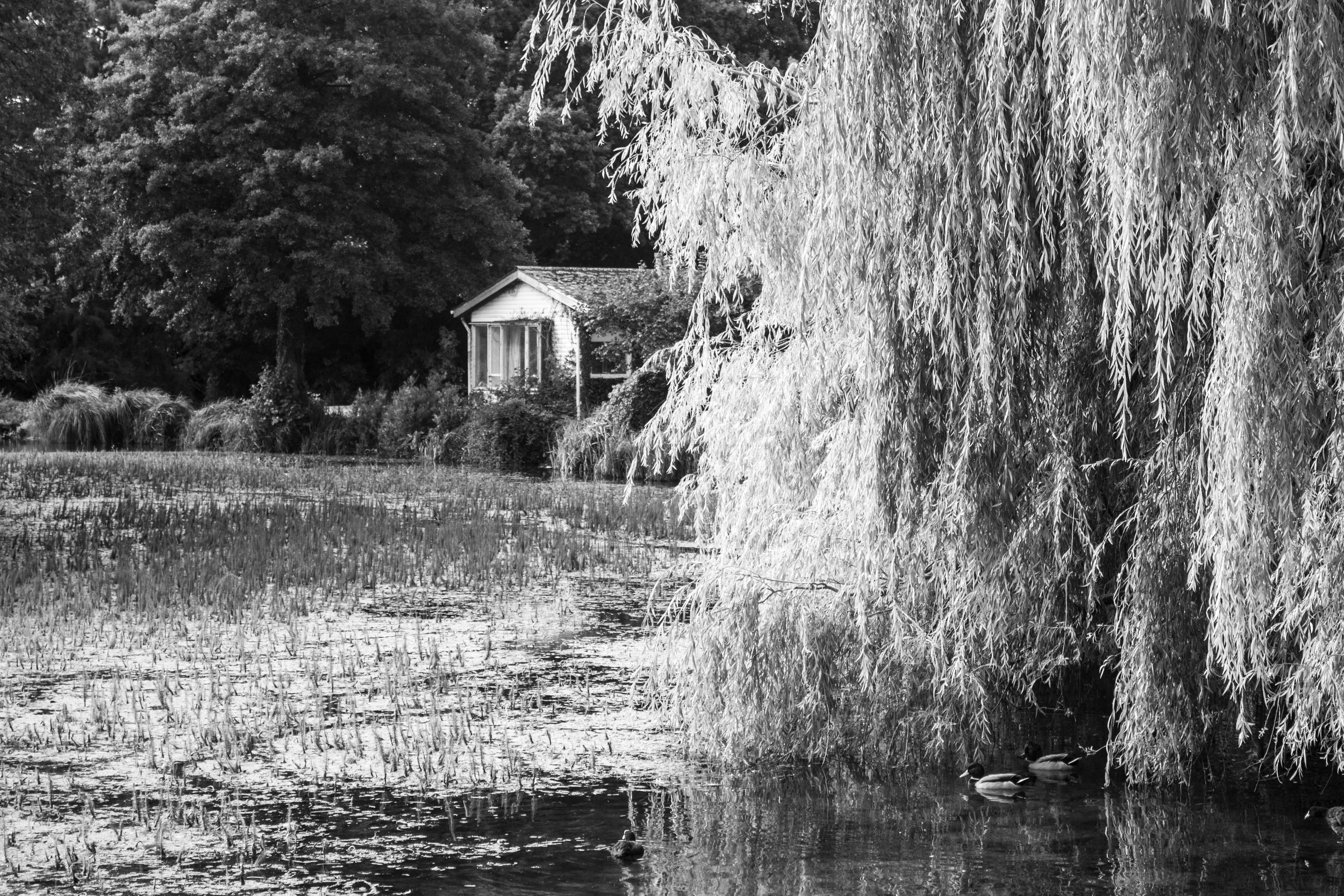 Bosham, West Sussex (1.Oct.2025)_12.jpg