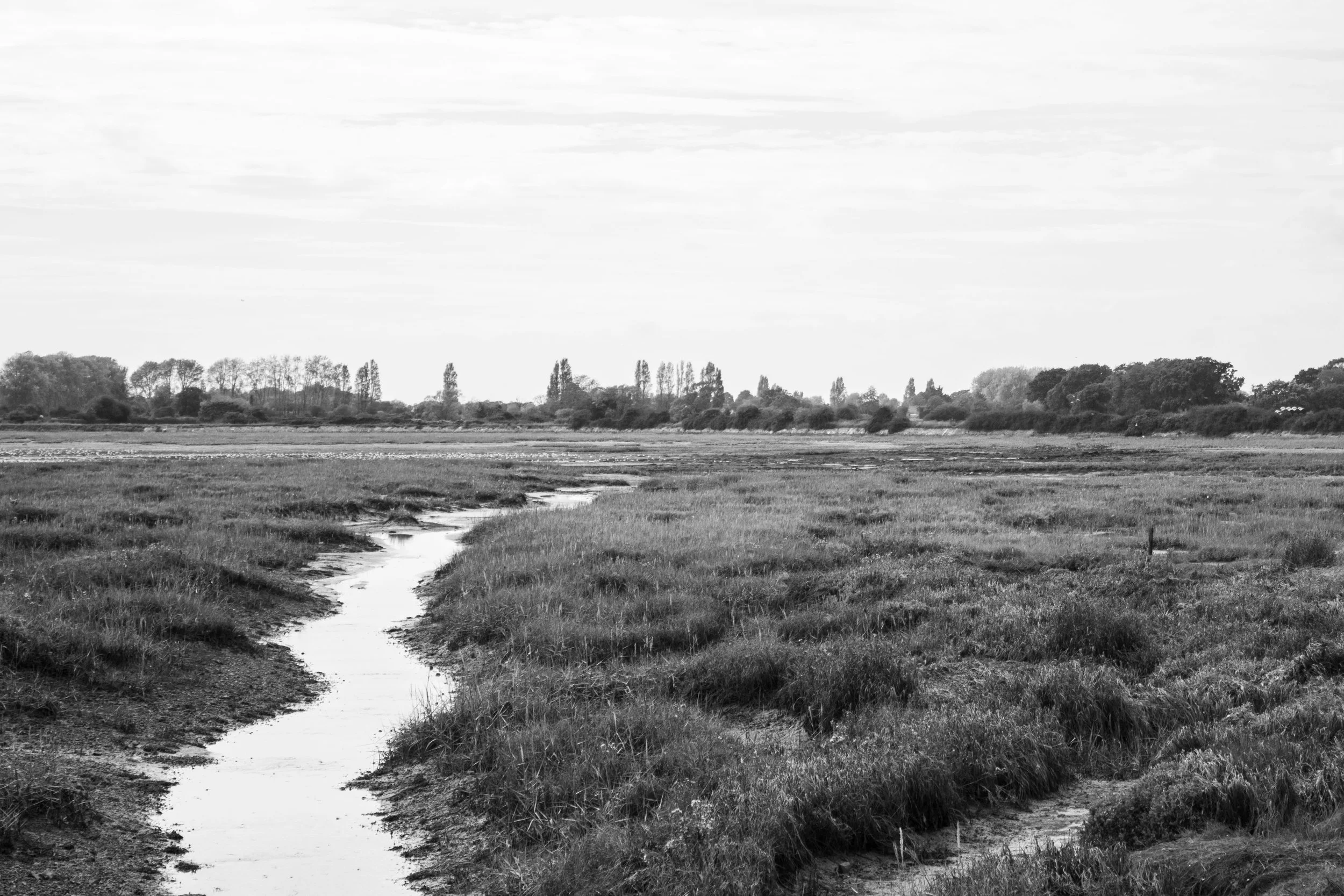 Bosham, West Sussex (1.Oct.2025)_4.jpg