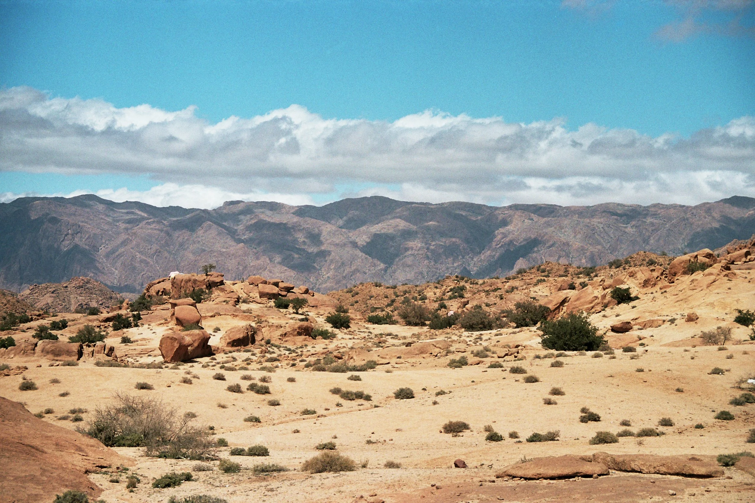 Painted Rocks, Tafraoute - 2.Apr.2025