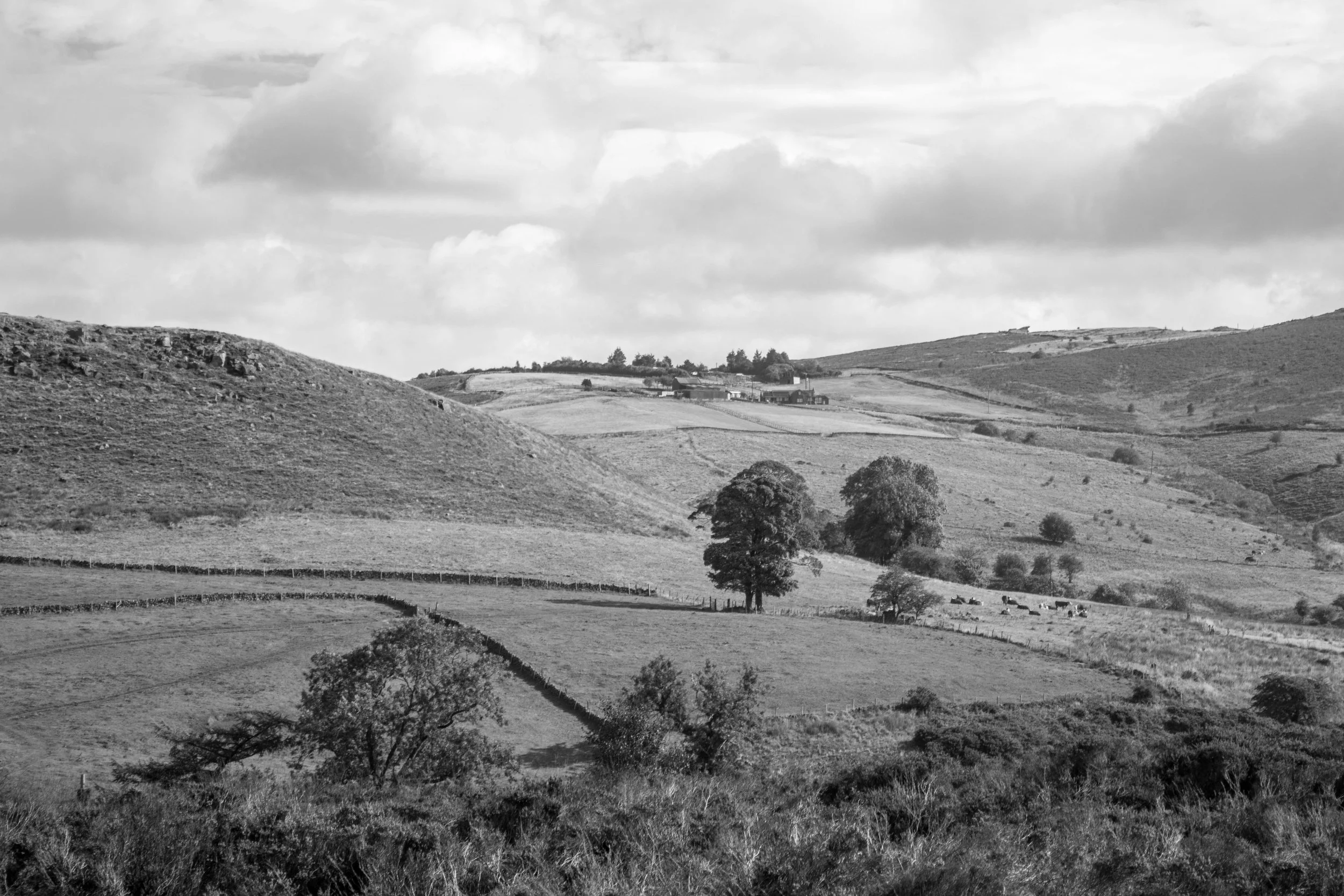 The Roaches, Peak District - 27.Aug.2025