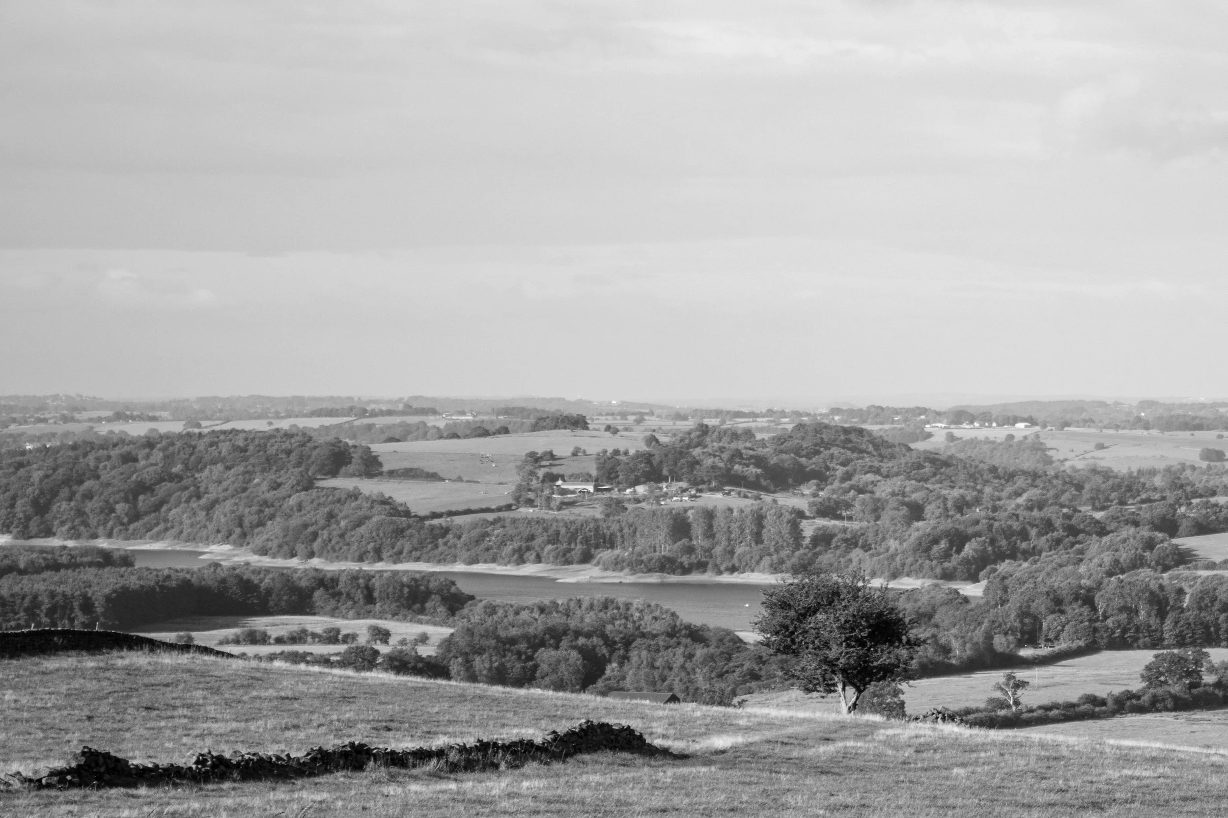 The Roaches, Peak District - 27.Aug.2025