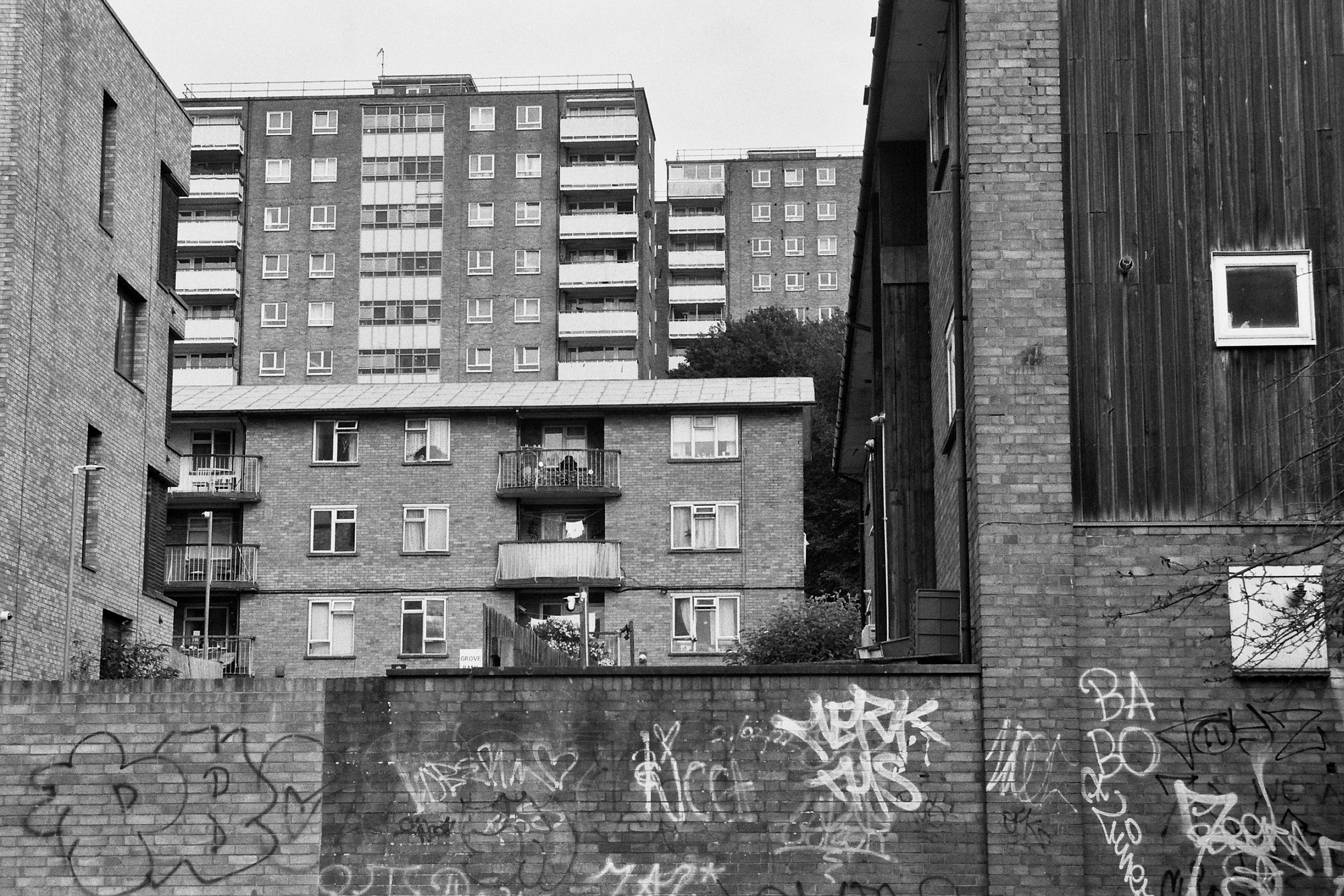 Brighton, East Sussex - 16.Jul.2025