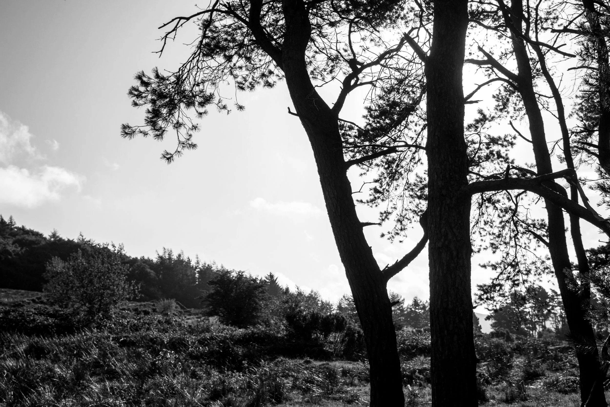 The Roaches, Peak District - 27.Aug.2025