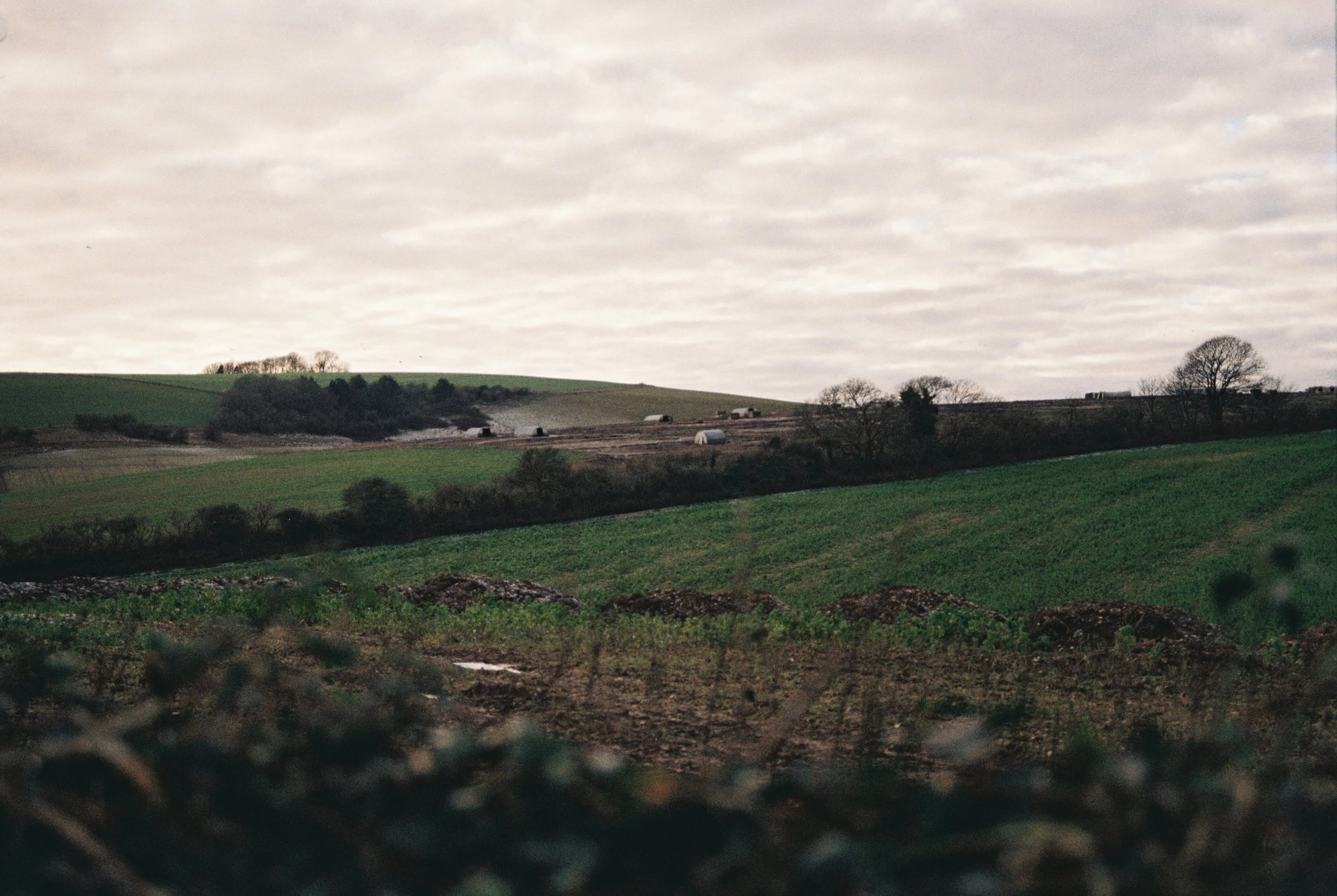 Upper Beeding, West Sussex - 12.Jan.2025