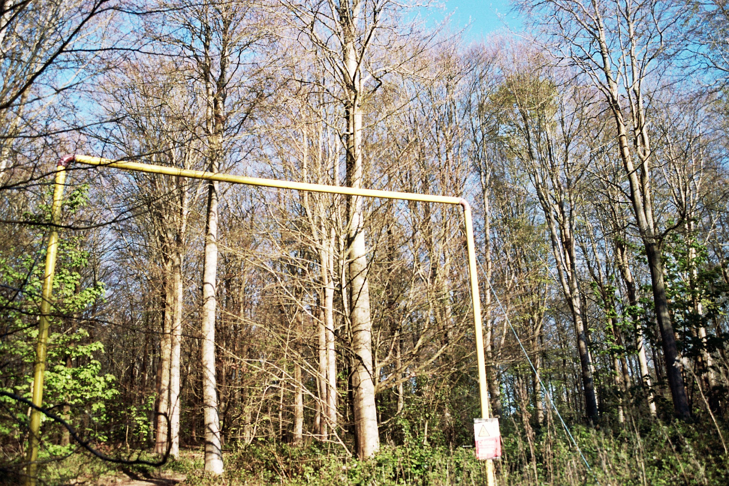 Cuckmere Valley, East Sussex . 17.Apr.2025