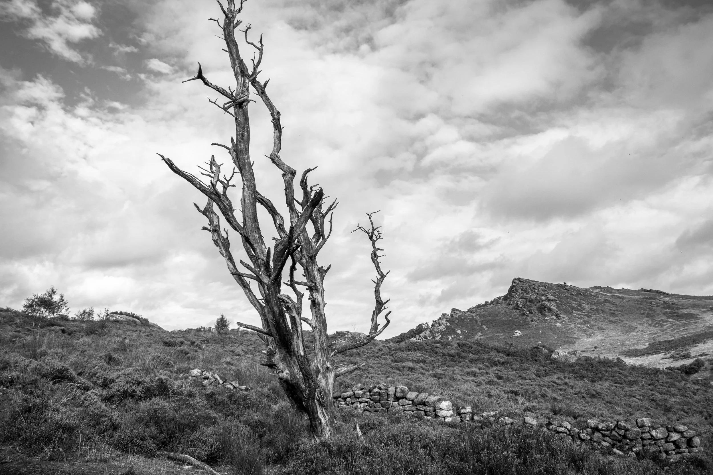 The Roaches, Peak District - 27.Aug.2025