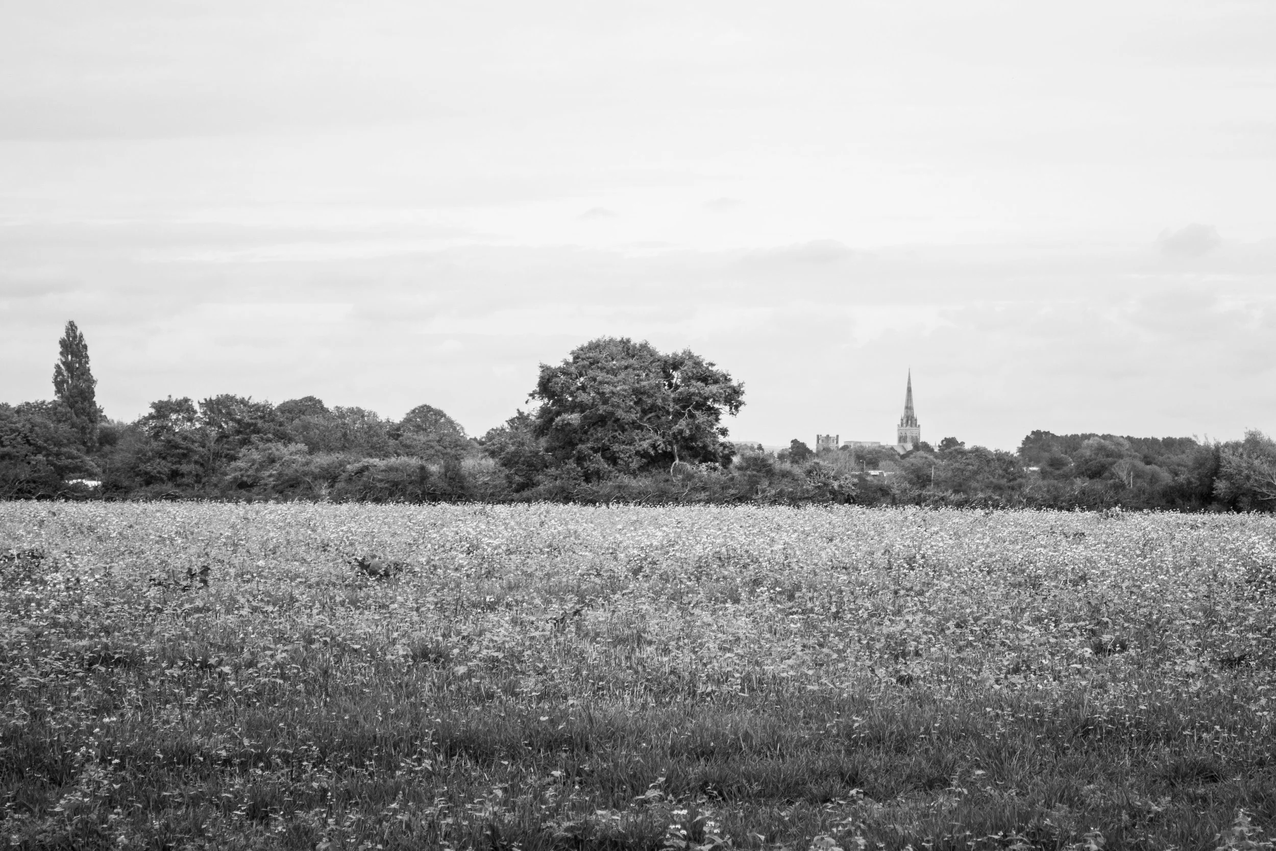 Bosham, West Sussex (1.Oct.2025)_6.jpg