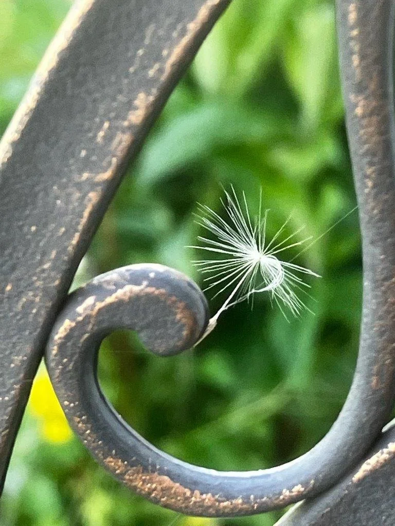 Hanging On By A Thread