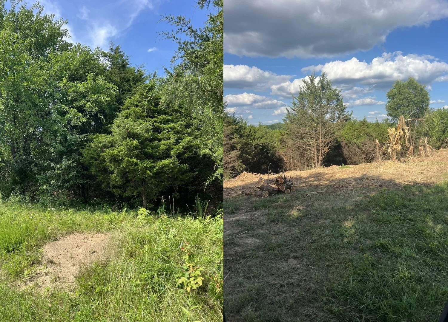 Reed Property - Before & After.jpg
