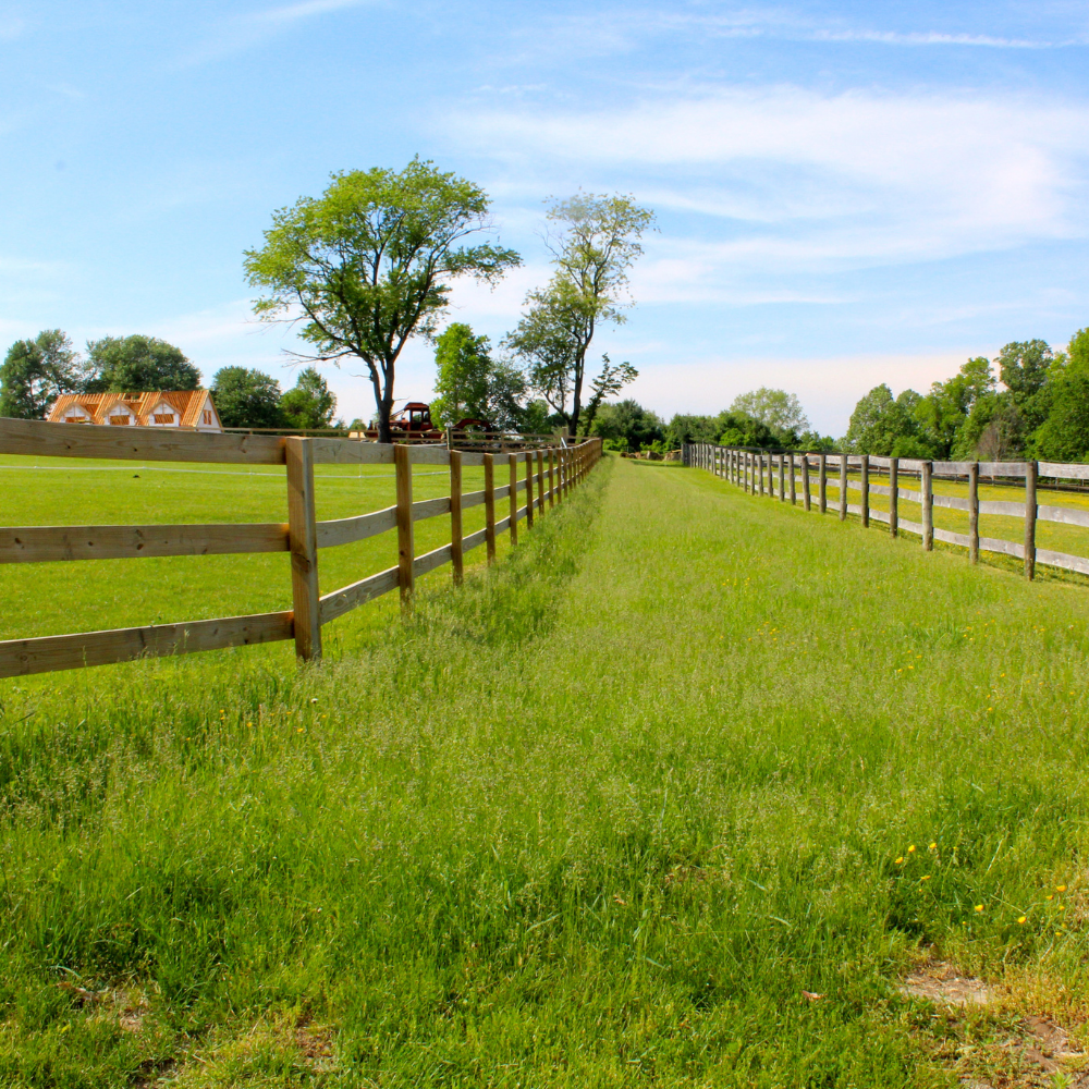 A grassy field with a wooden fence on either side, trees in the background, and a house under construction with a partly built roof.