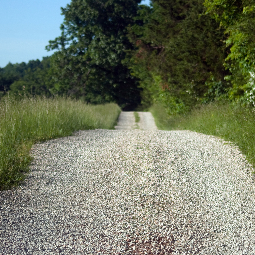Gravel country driveway bordered by grass and trees, with a clear blue sky.