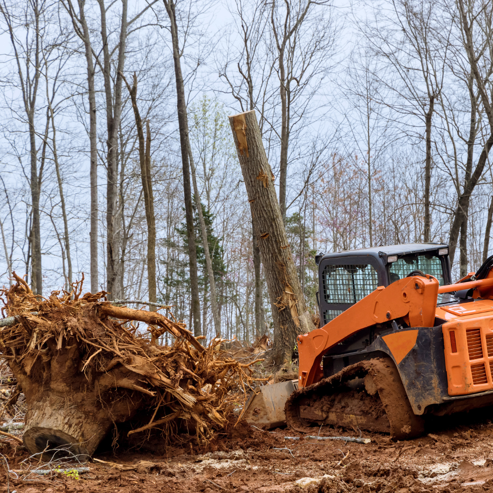 An orange bulldozer clearing fallen trees in a forested area with leafless trees and a cloudy sky.