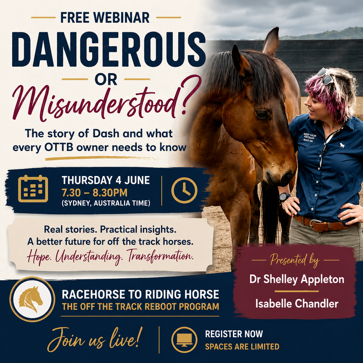 Dangerous or Misunderstood? The story of Dash and what every OTTB owner needs to know