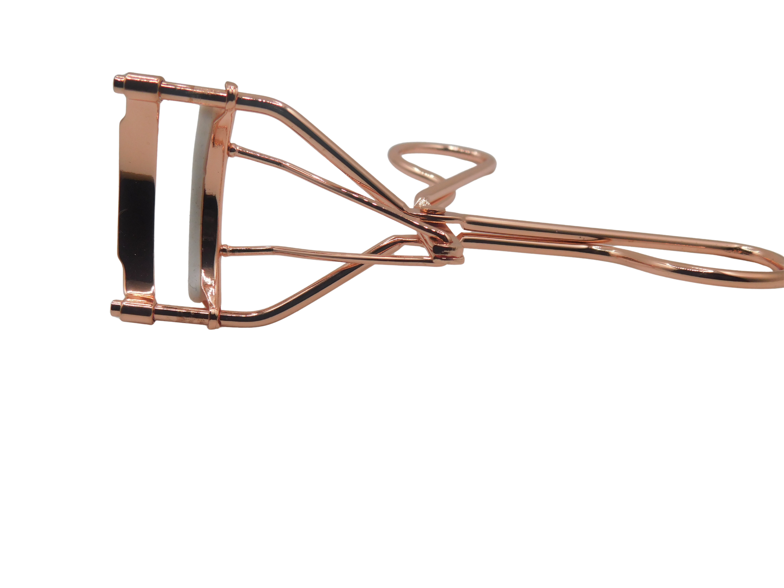 Untitled design (4).png