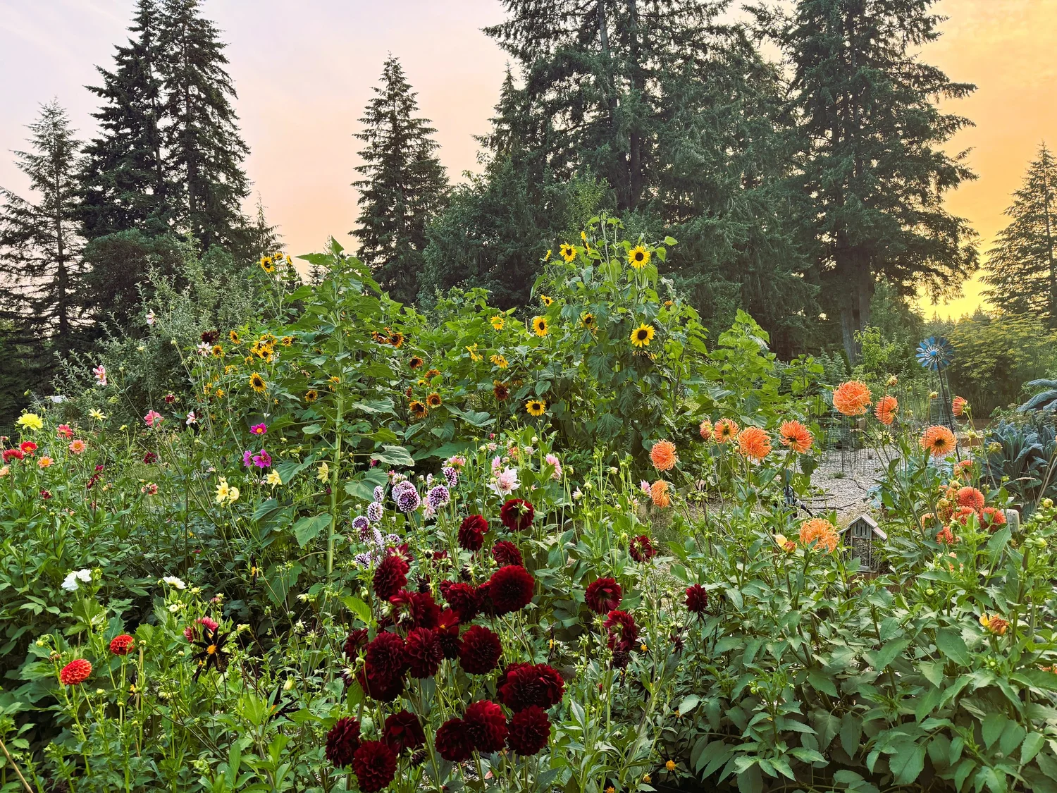 Olalla Ridge Farm | Shop Fresh, Support Local