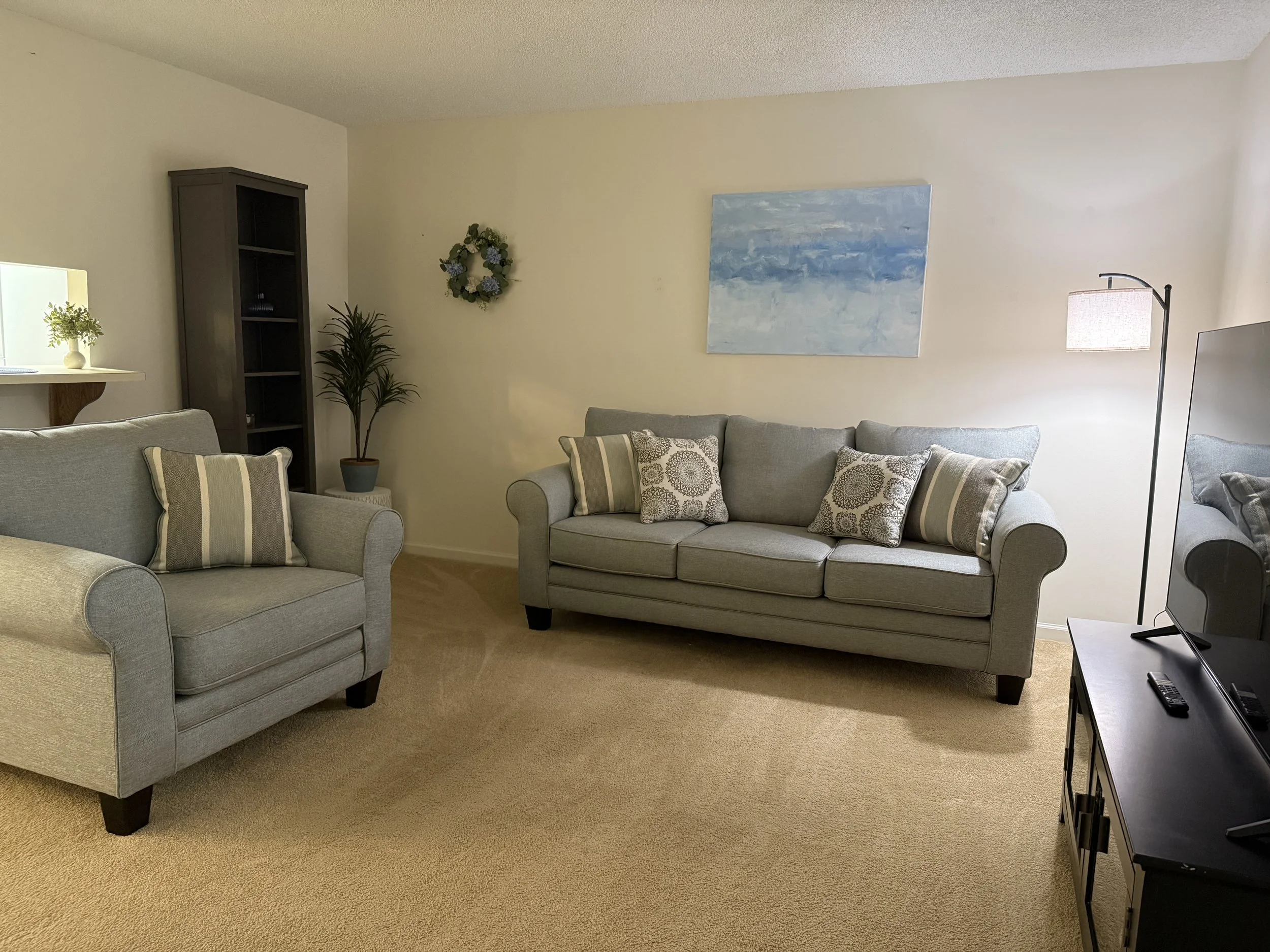 Living room with two gray sofas, a black TV stand with a TV, a floor lamp, a dark bookcase, and a potted plant. Blue abstract painting on the wall, beige carpet, and a small decorative wreath.
