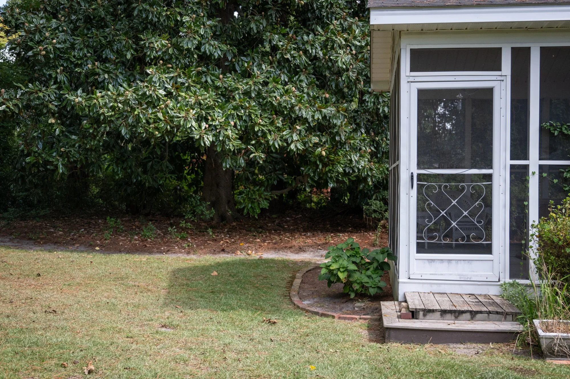 Backyard with green lawn, bushes and trees, and a screened porch with a white door.