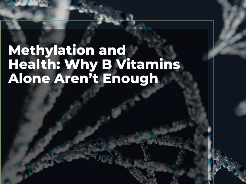 Methylation: Genetics Load the Gun, Environment Pulls the Trigger