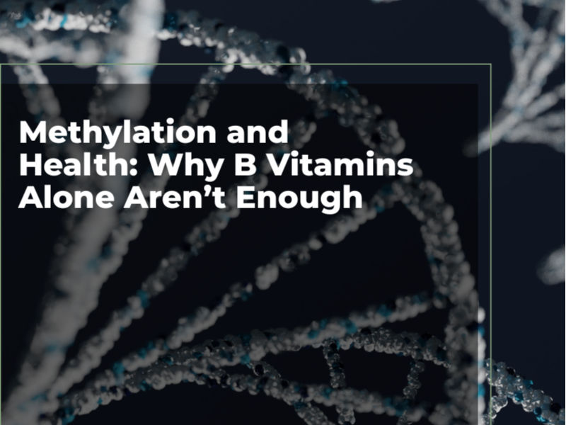 Methylation: Genetics Load the Gun, Environment Pulls the Trigger