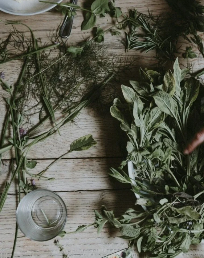 table with greenery, plats and herbs