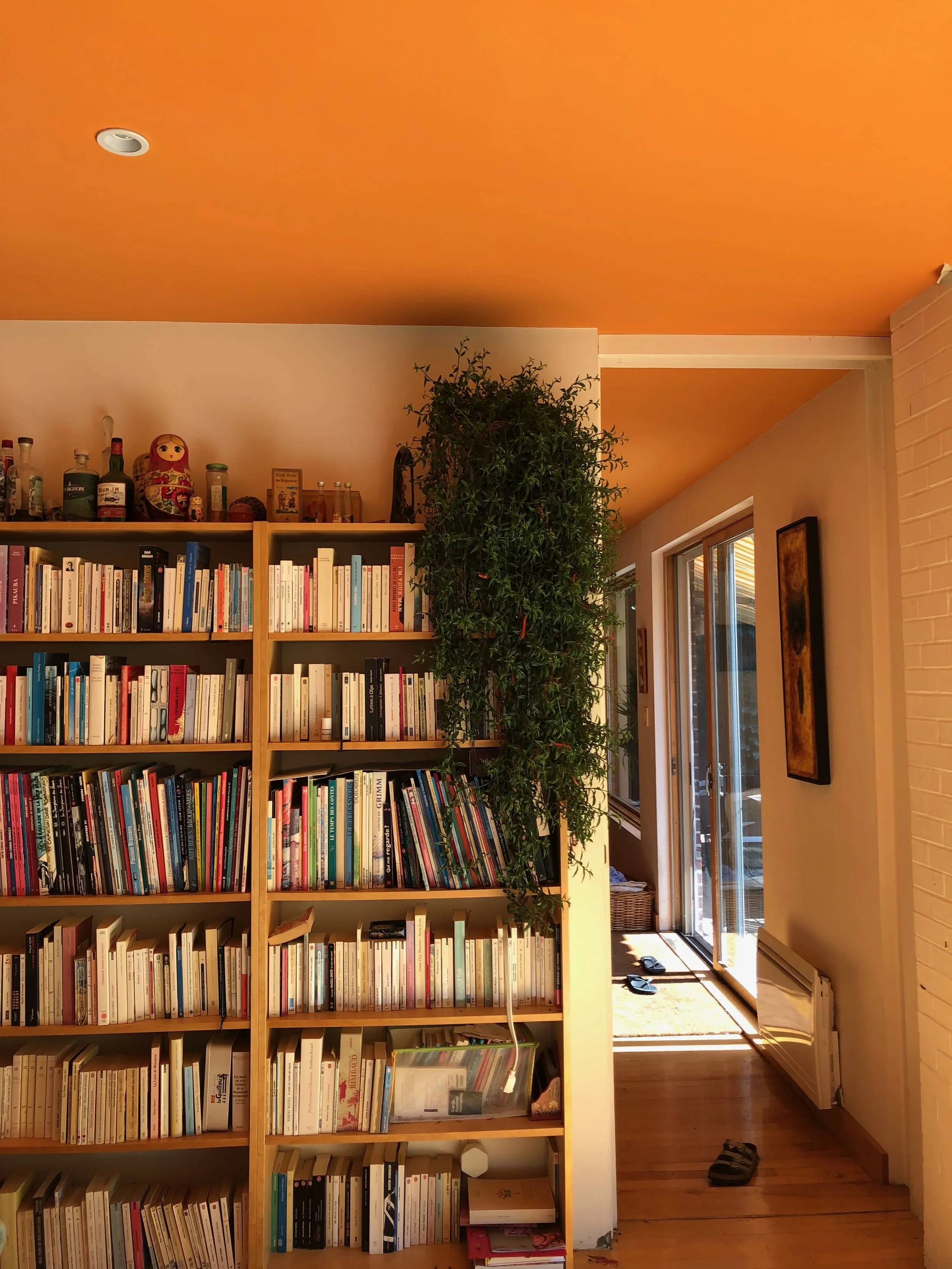 IMG_2429 (1) copy.jpeg