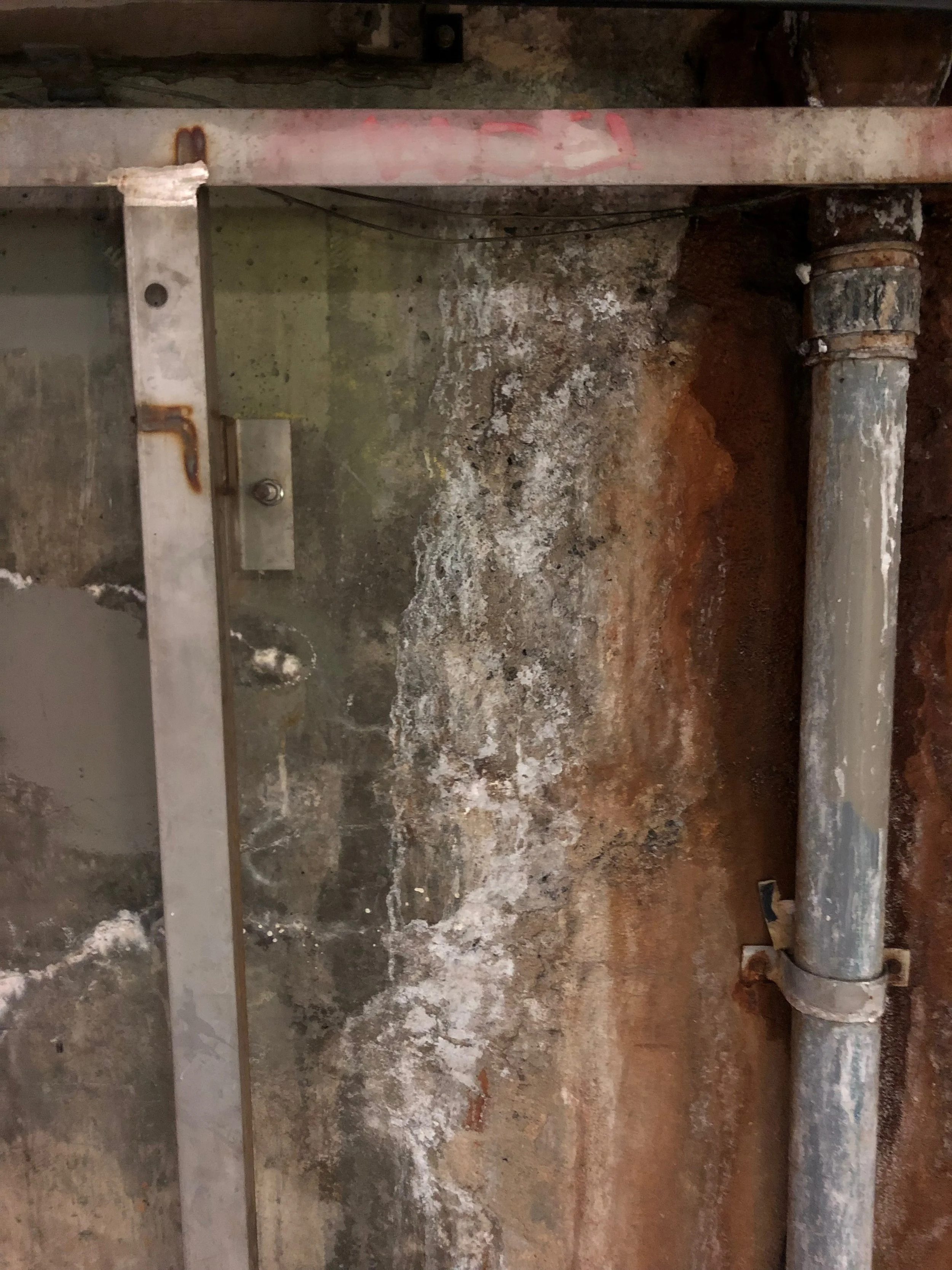 IMG_0749 (1) copy.jpeg