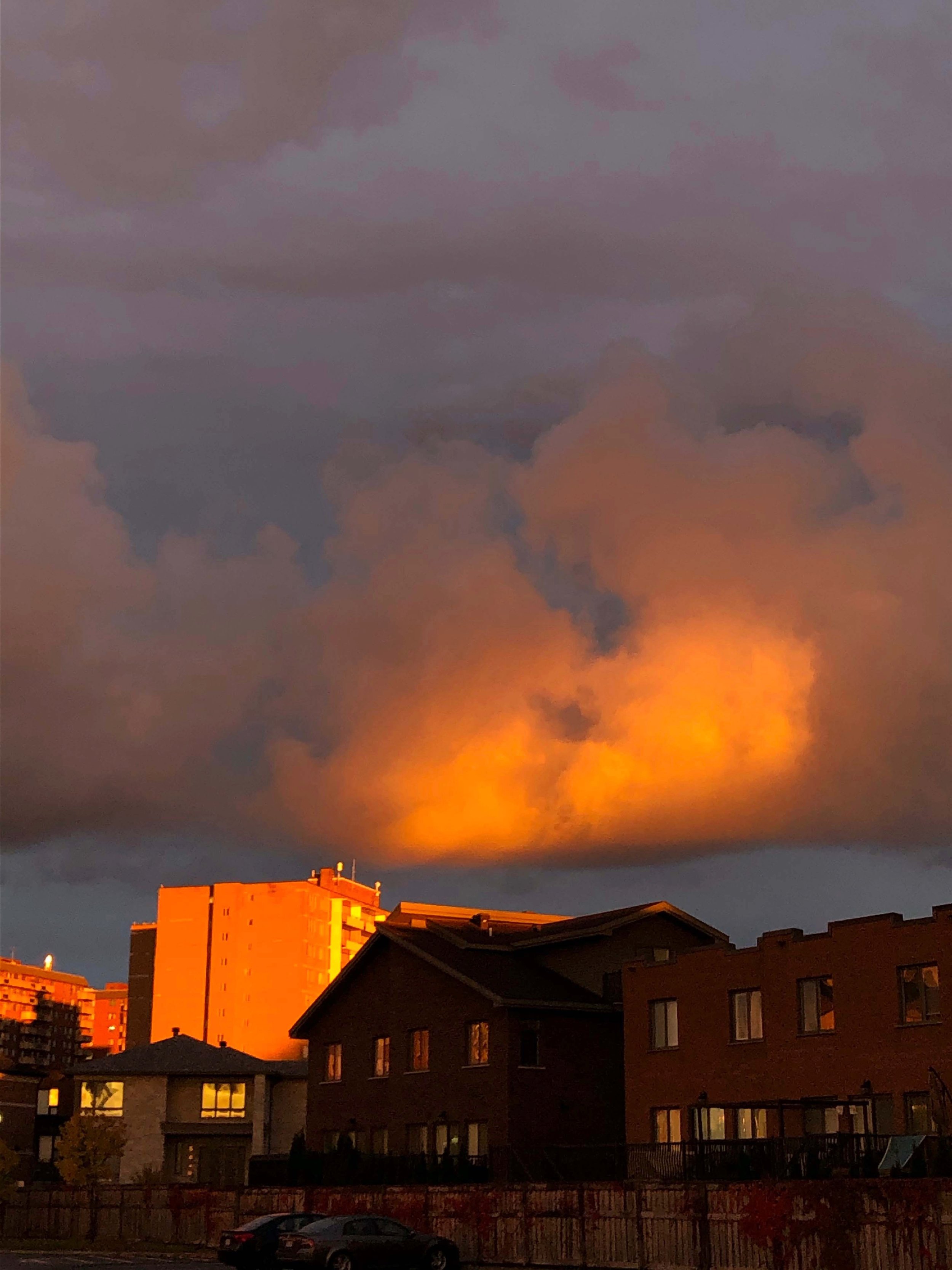 Image 2021-02-14 at 7.18 PM copy.jpeg