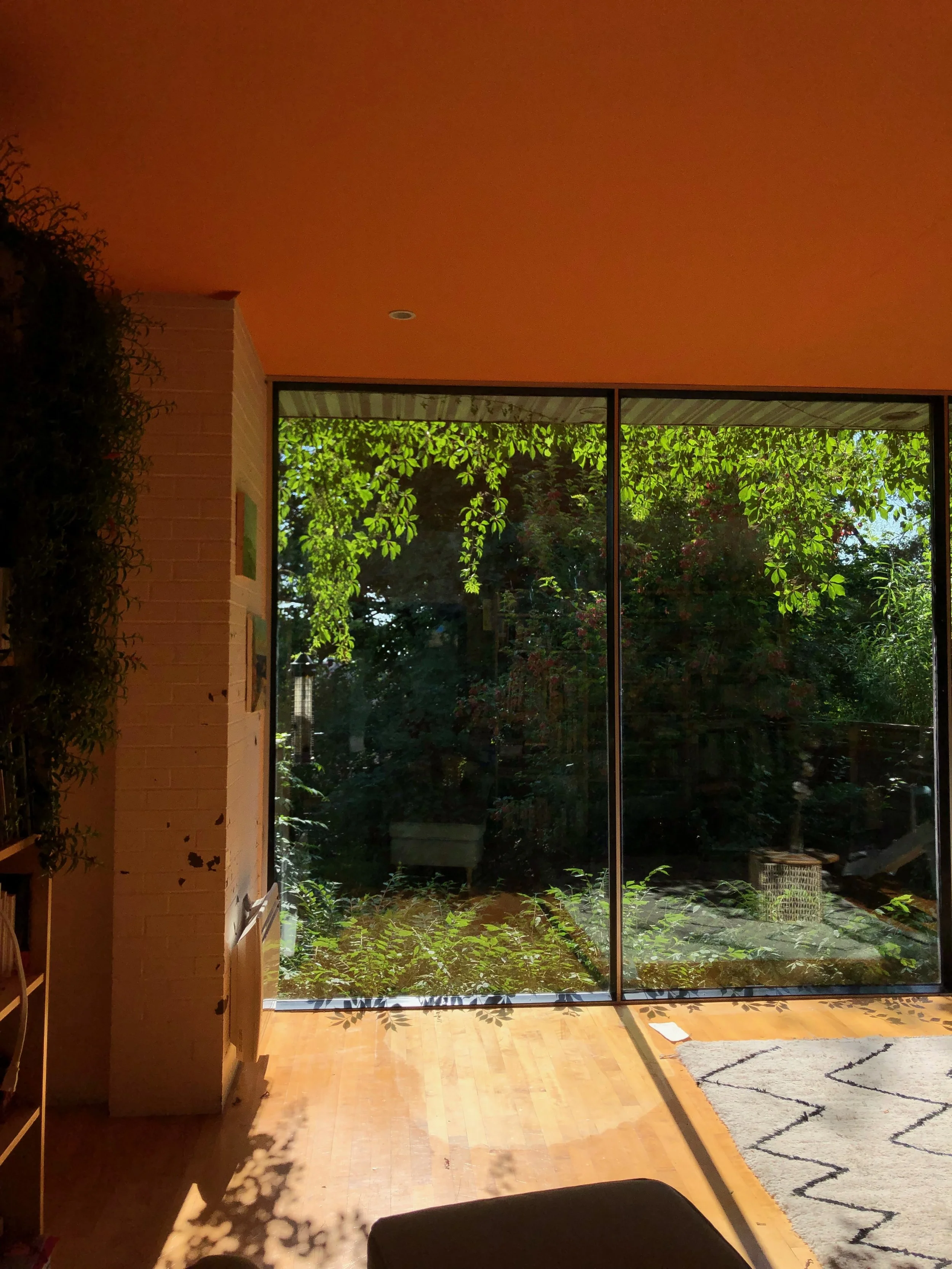 IMG_2426 (1) copy.jpeg