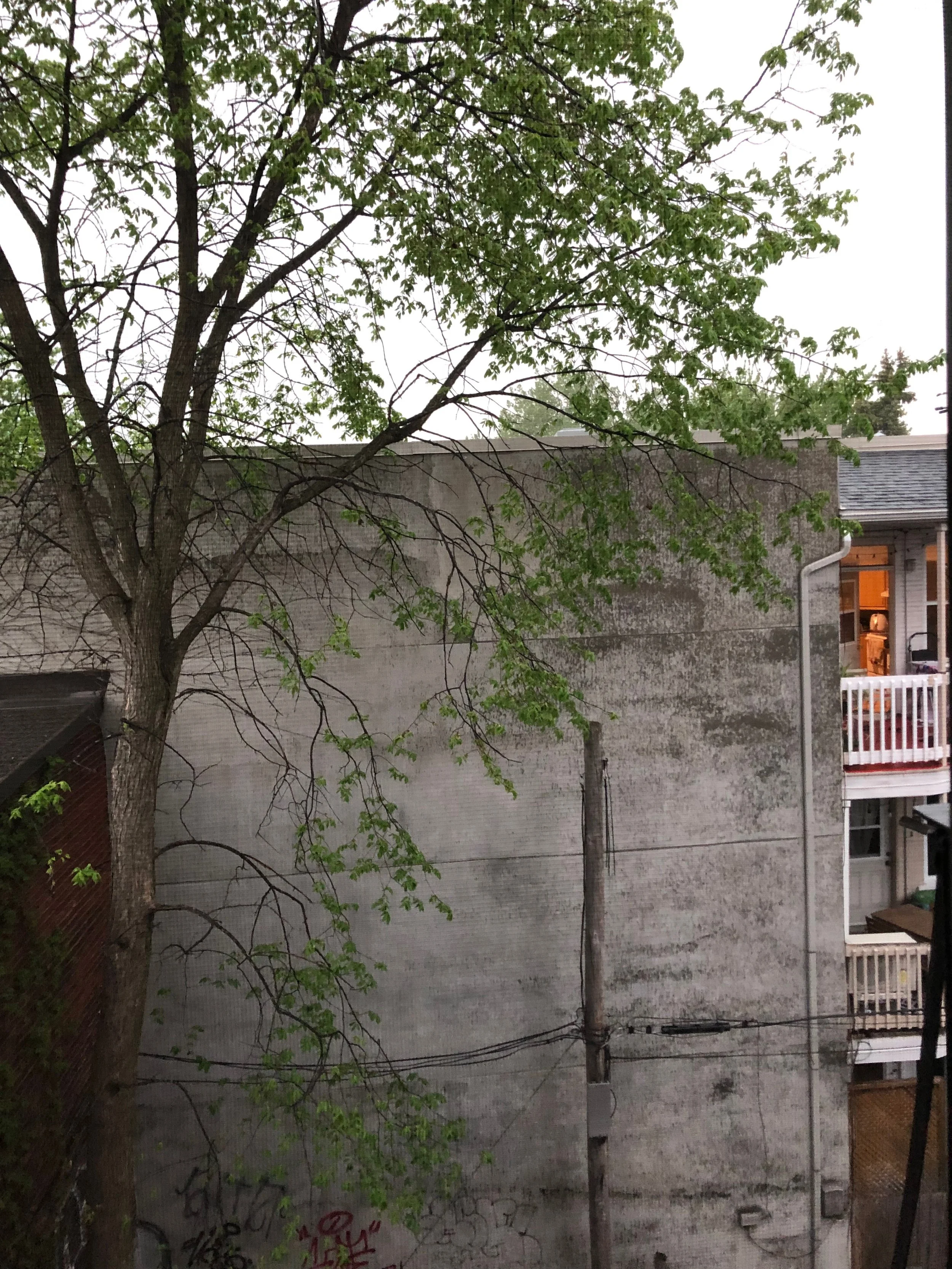 IMG_1526 (2) copy.jpeg