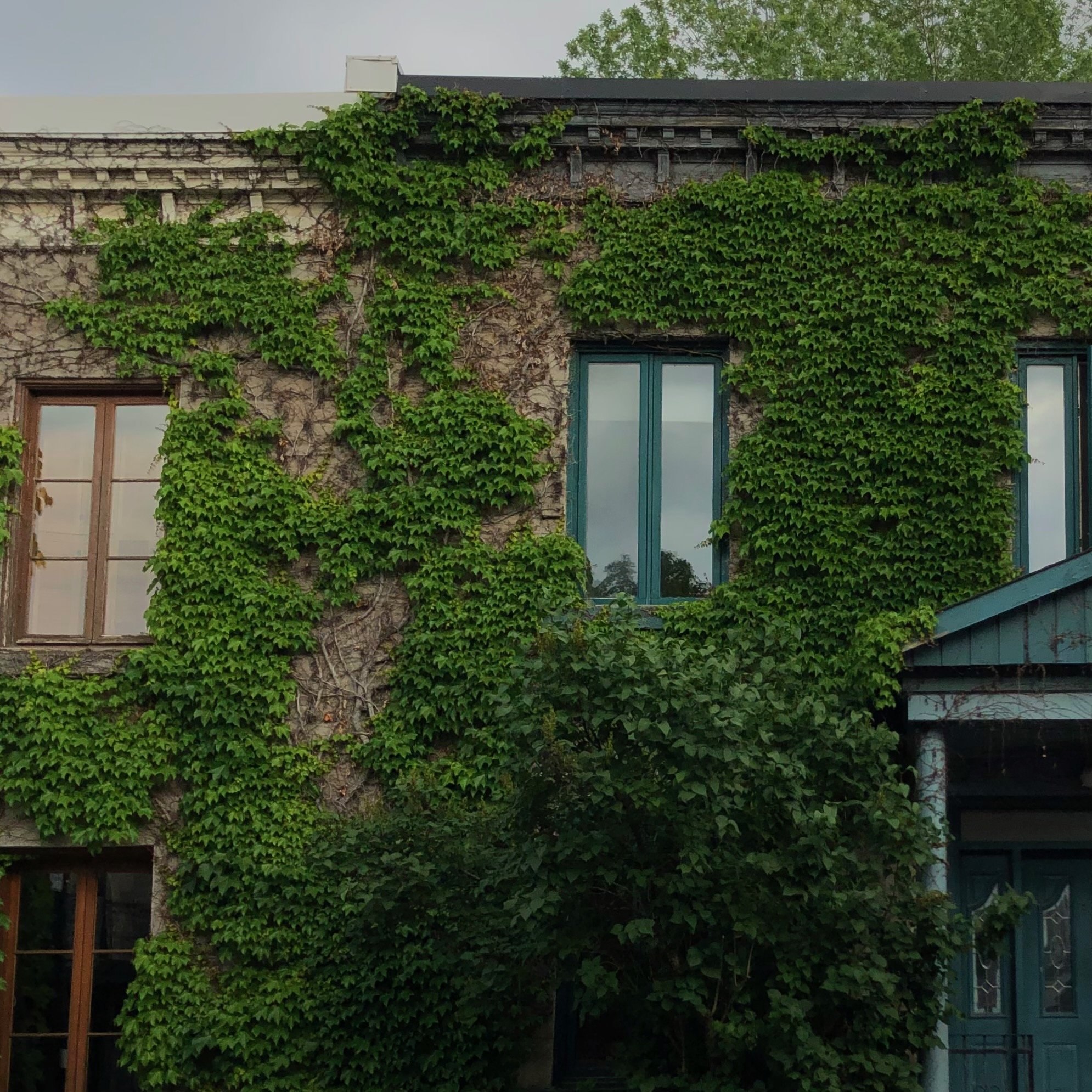 IMG_1955 (1) copy.jpeg