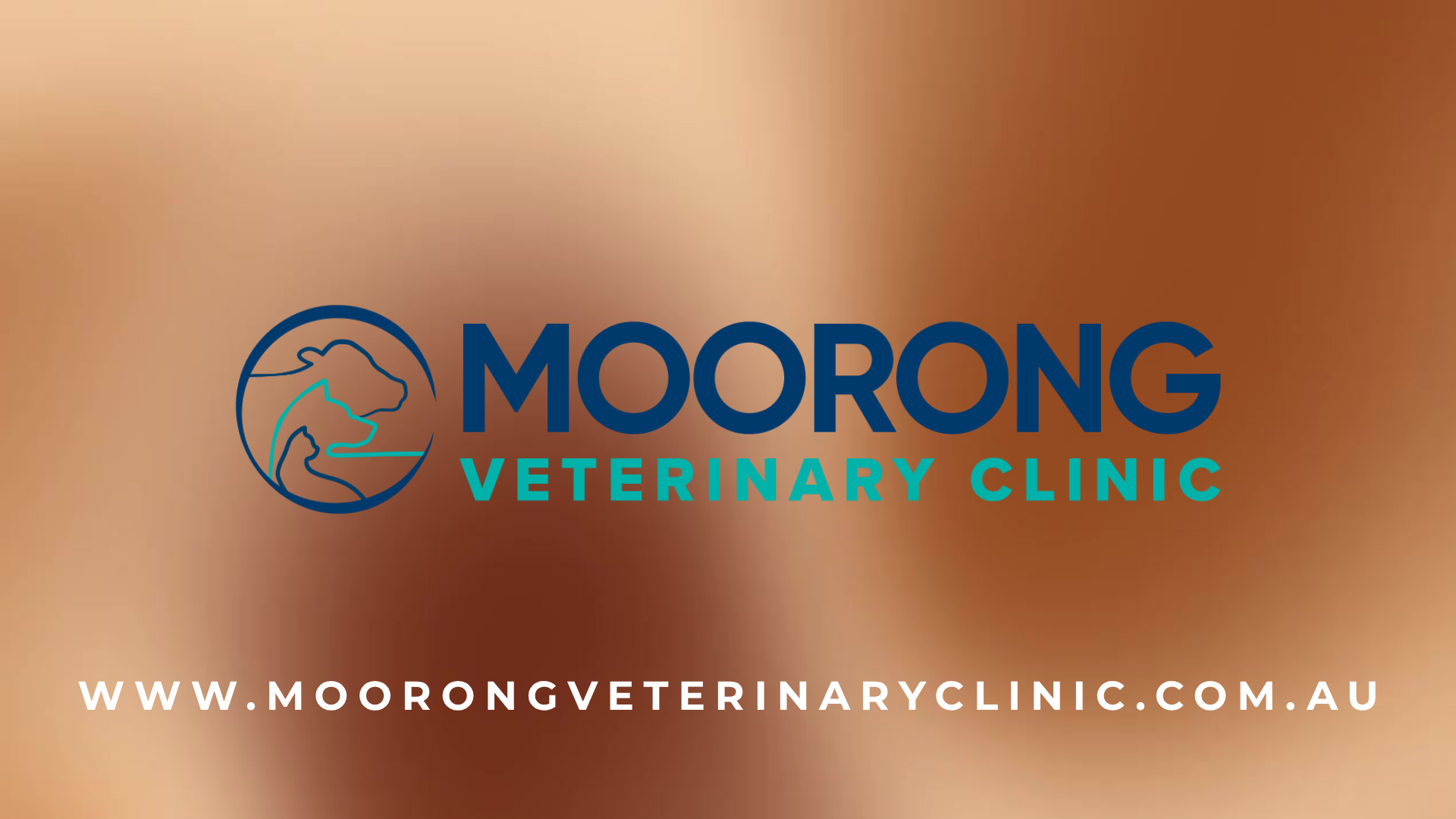 60. Moorong Vet.png