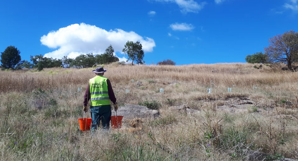 Rocky Hill regeneration helped by Return and Earn