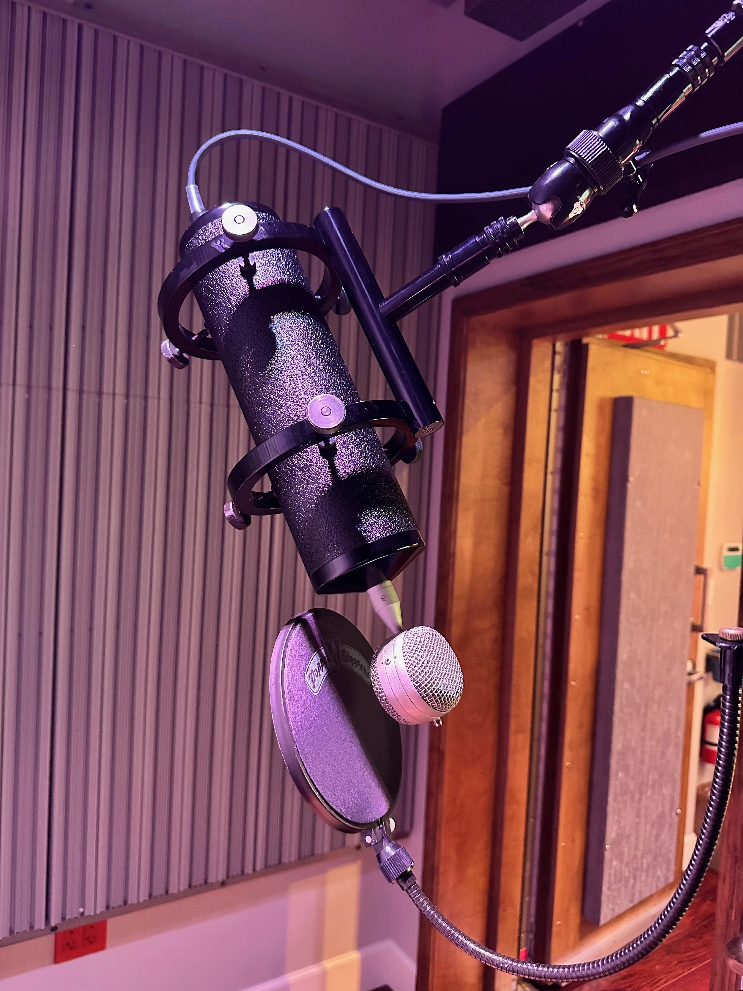 A close-up of a microphone setup for recording, including a spherical drum, a pop filter, and a shock mount, all positioned in a soundproof studio with wood-paneled walls.