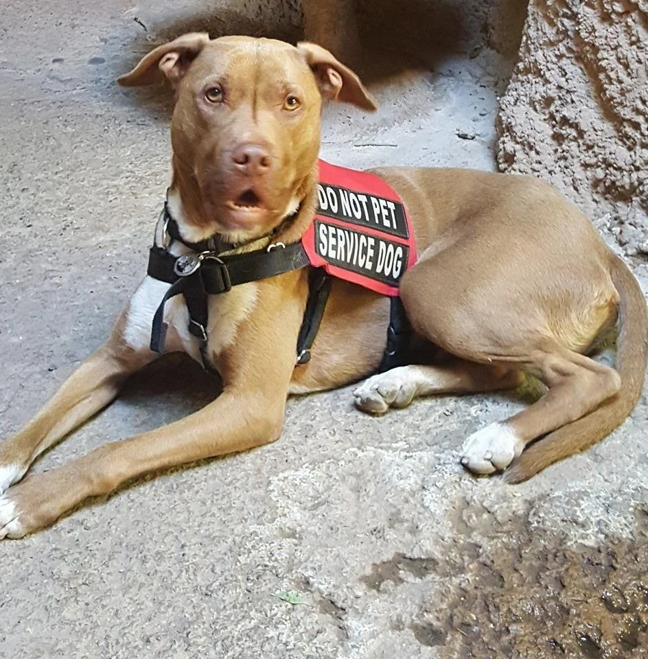 Early in our service dog training days, but together we lived life to the fullest.