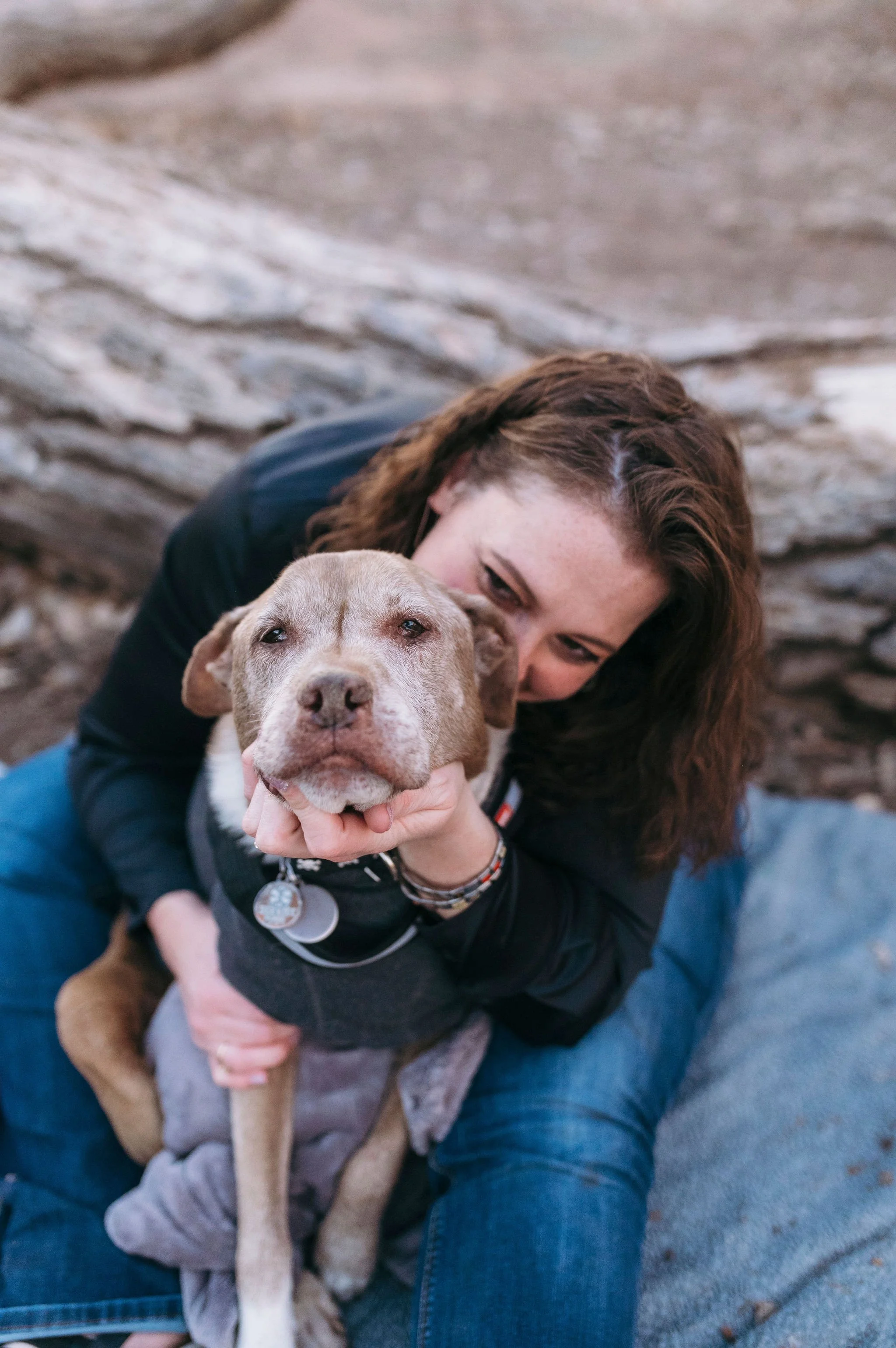 Professional Service Dog Training