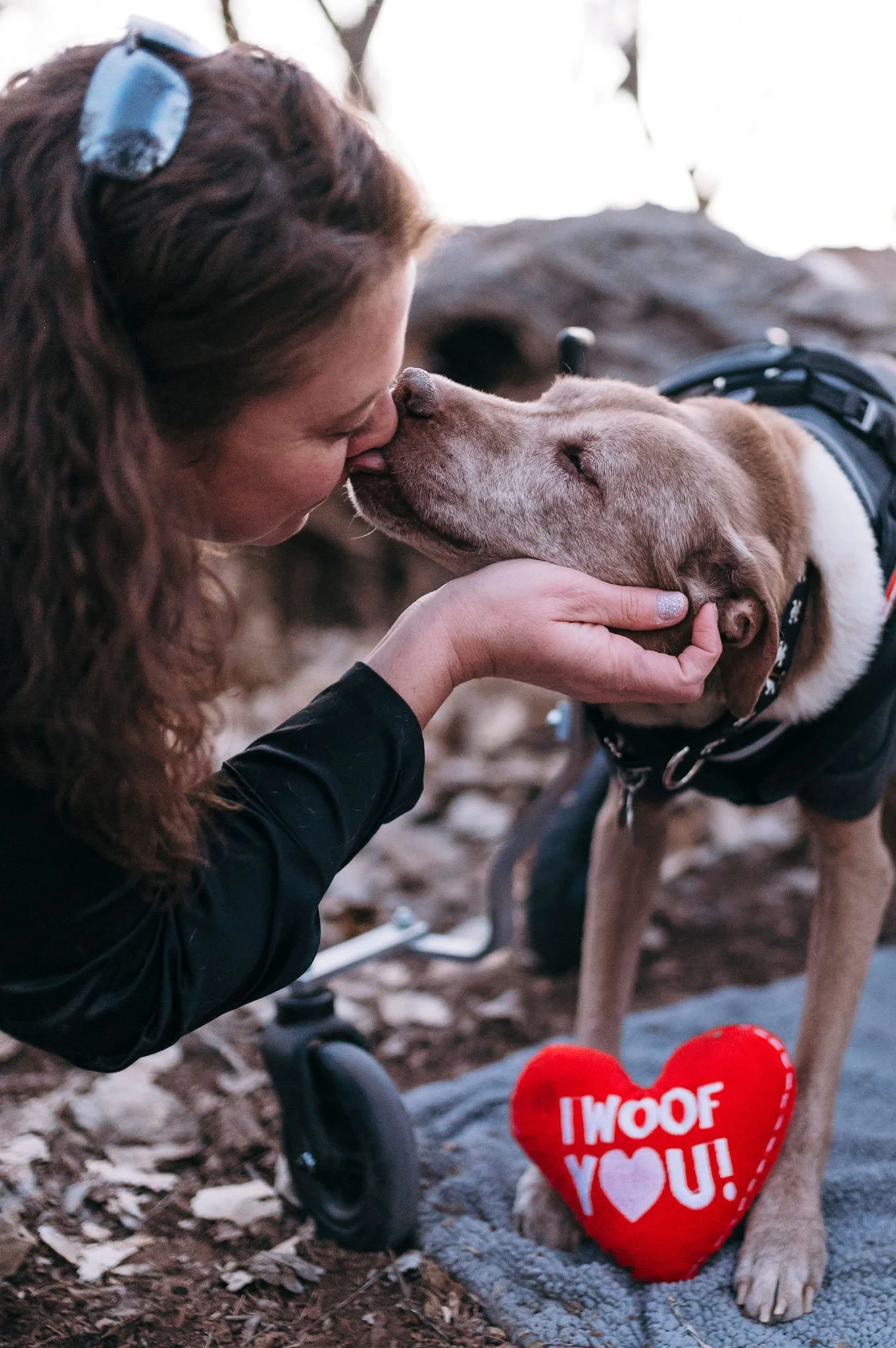 Nothing compares to the deep love and bond between a handler and her service dog