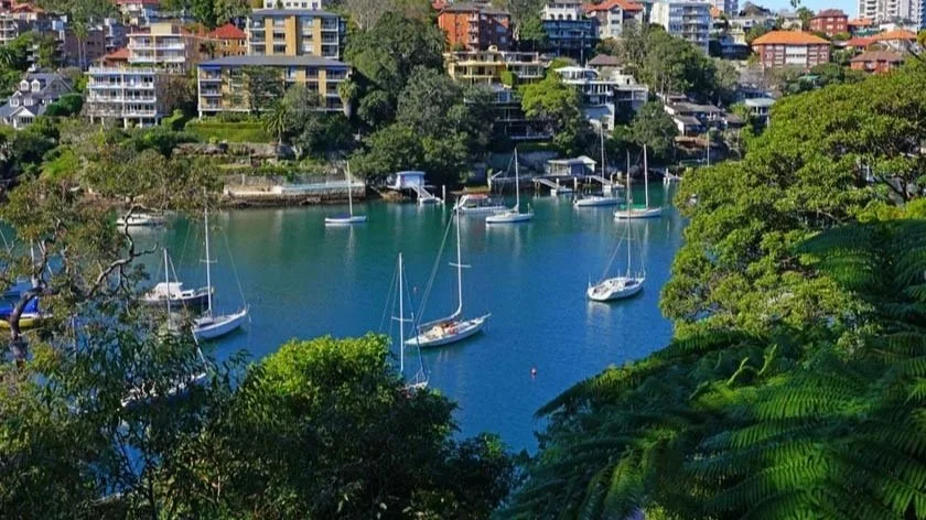 paving contractor mosman