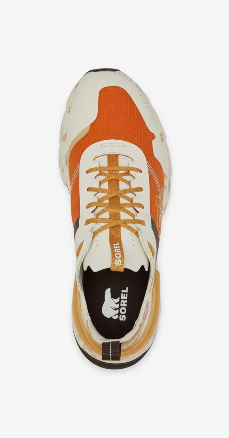 download (48) copy.png